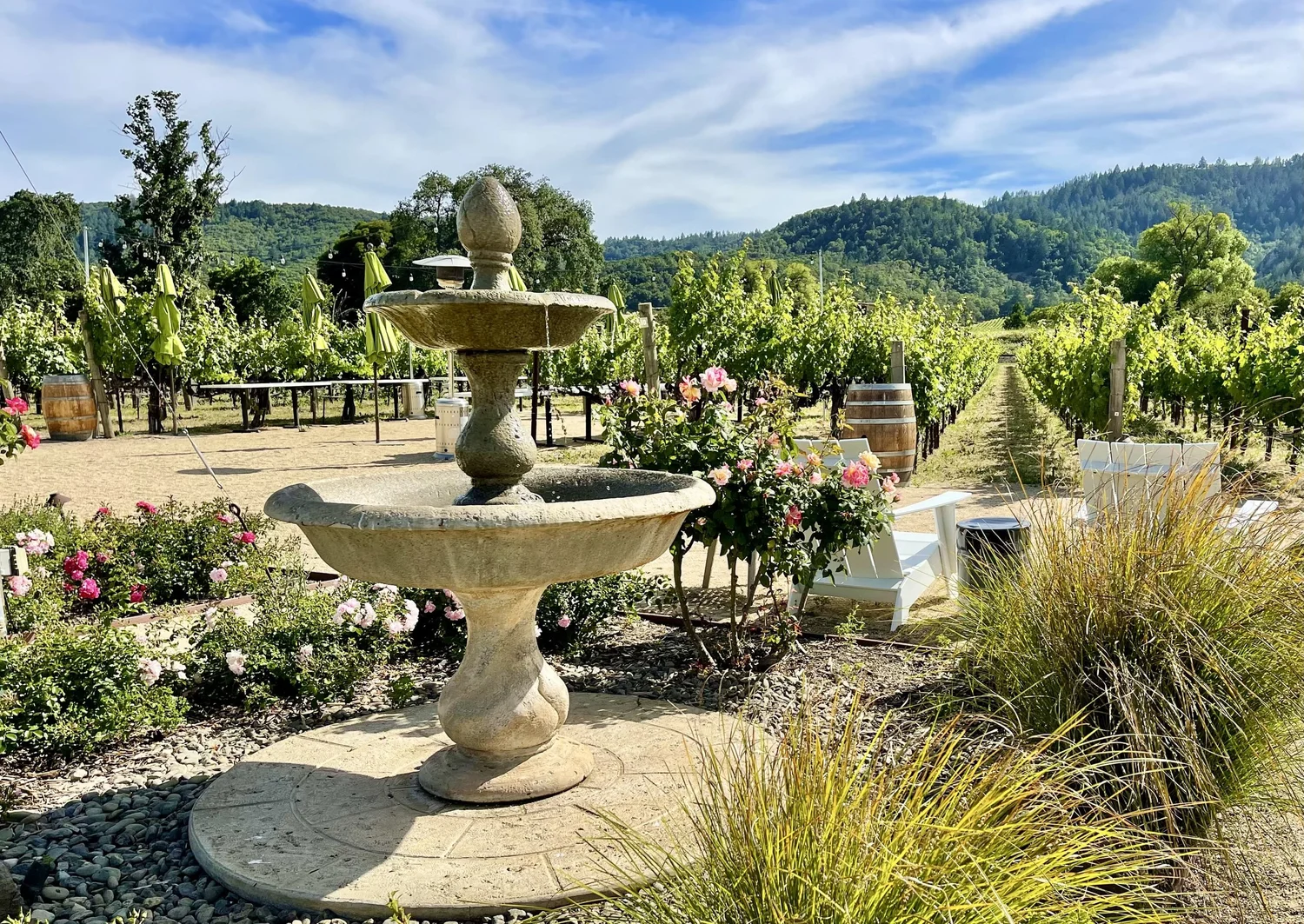 13 Best Yountville Wineries and Tasting Rooms 2024 — Chef Denise