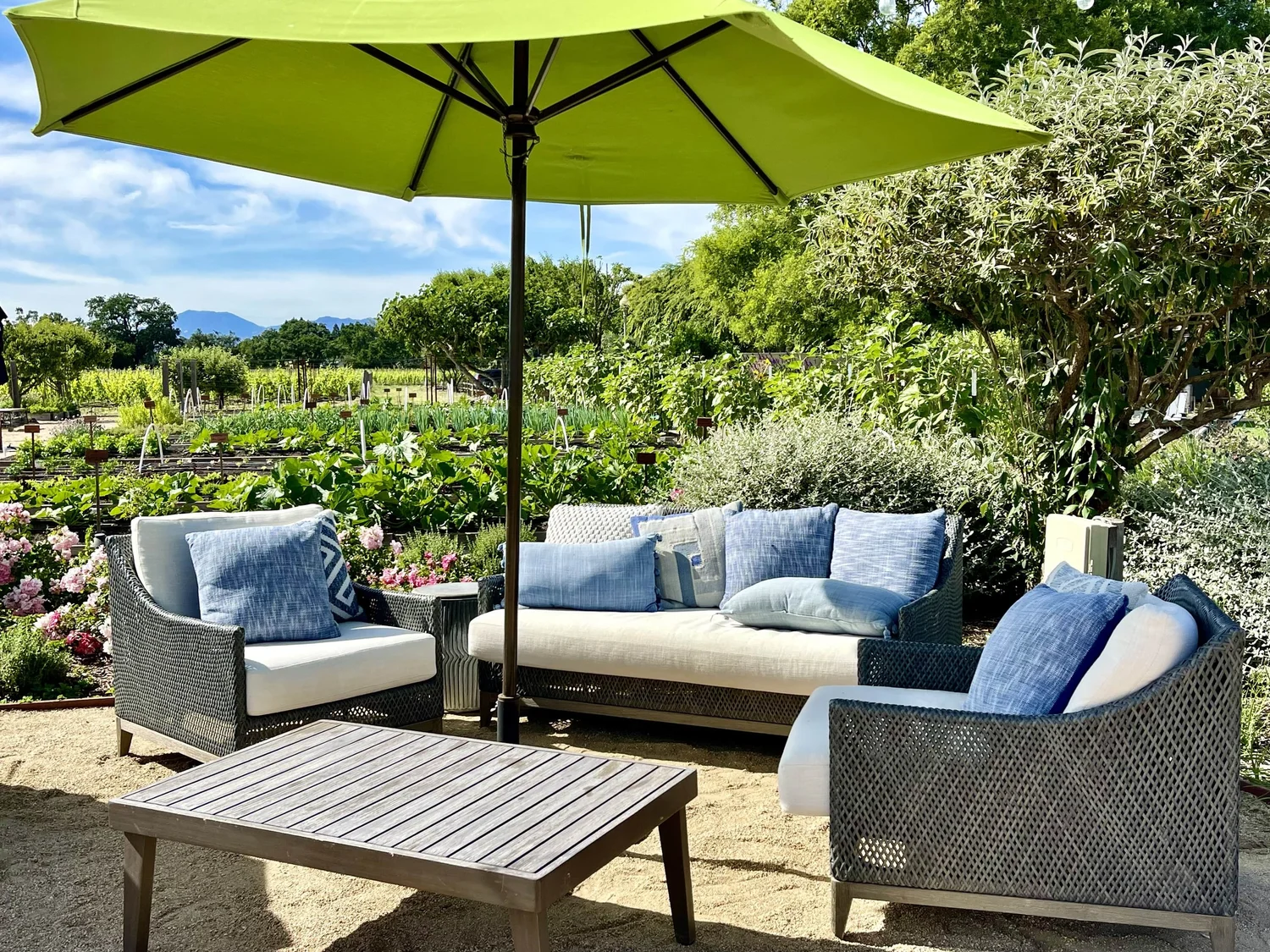 13 Best Yountville Wineries and Tasting Rooms 2024 — Chef Denise