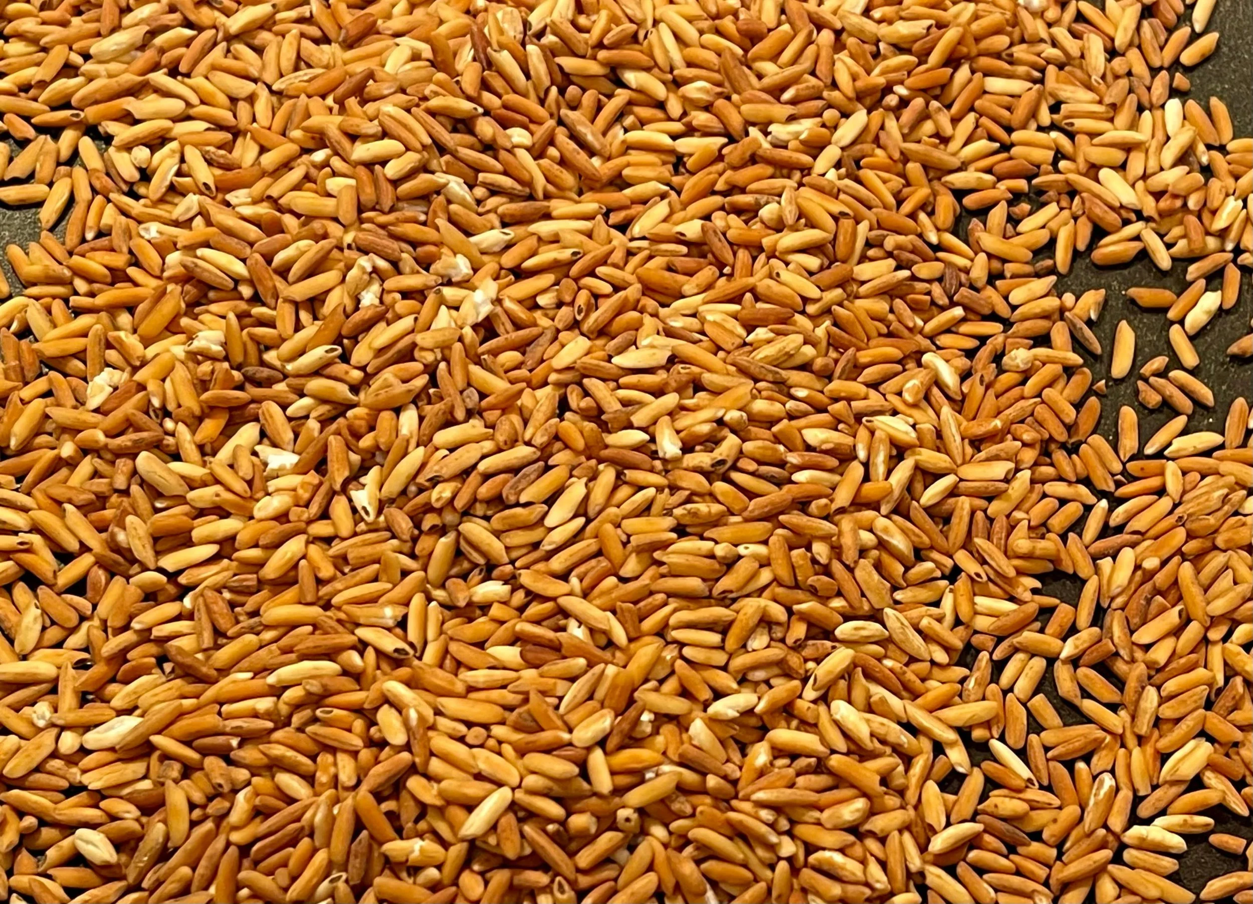 toasted rice to grind into powder