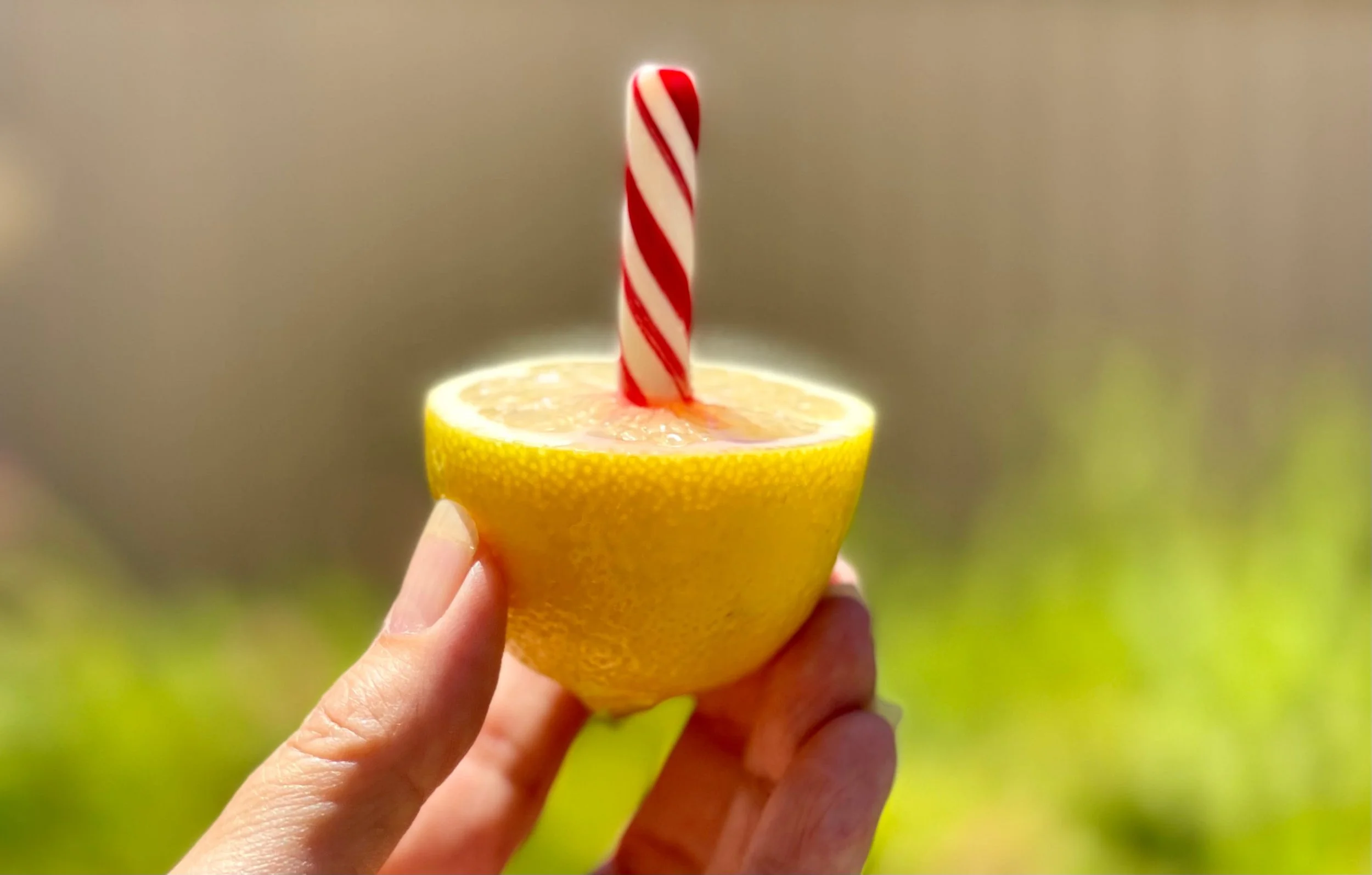 Peppermint stick in a lemon