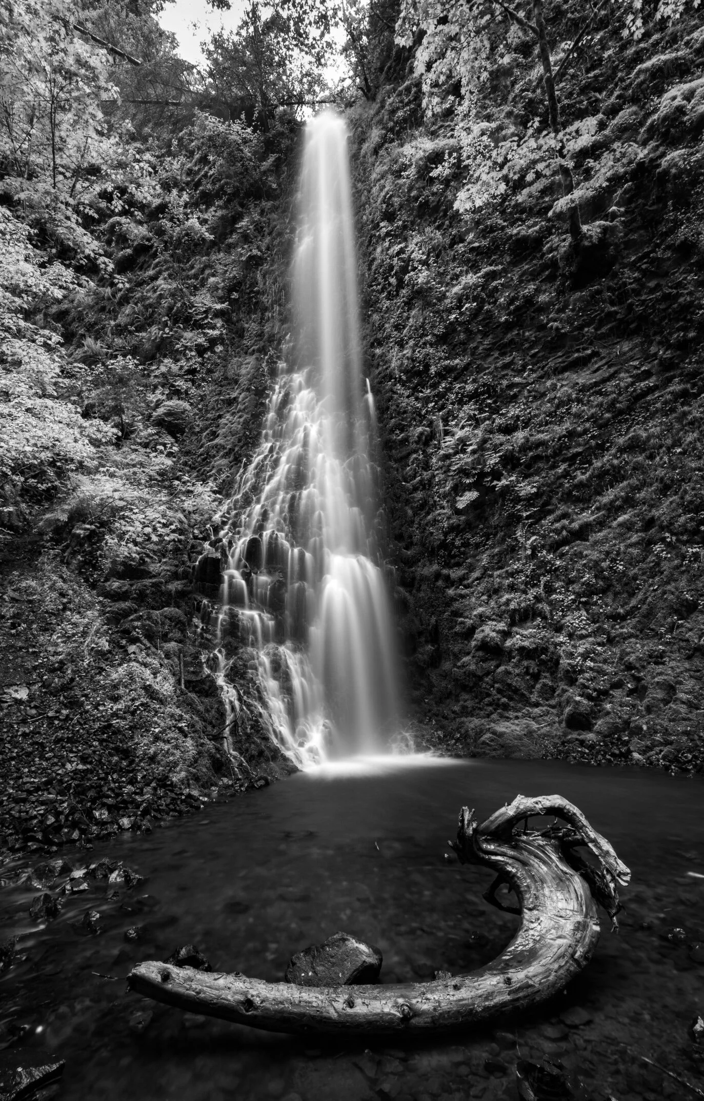 IMG_E1135 (3).JPG