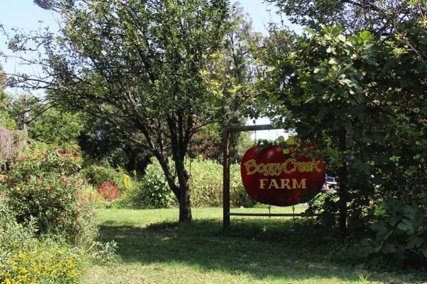 Sustainable Living: Out the Door and Down the Street