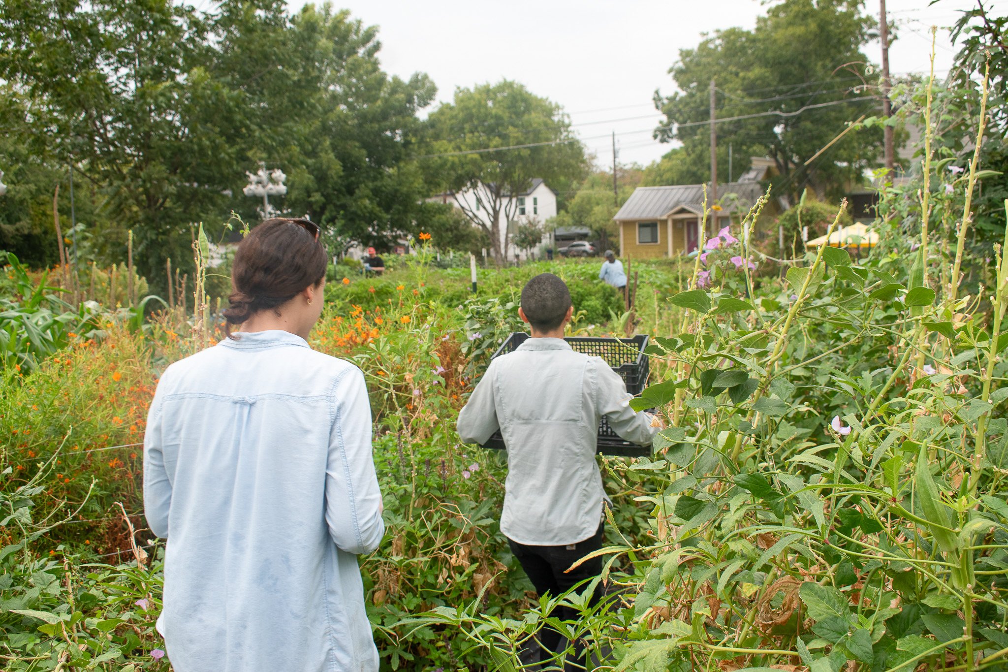   Gutierrez continues to lead Este Garden to a bright future of plentiful harvests and sustainable practices. To her, the garden is an invitation to connect with ourselves, our neighbors and the food on our plates.&nbsp;  