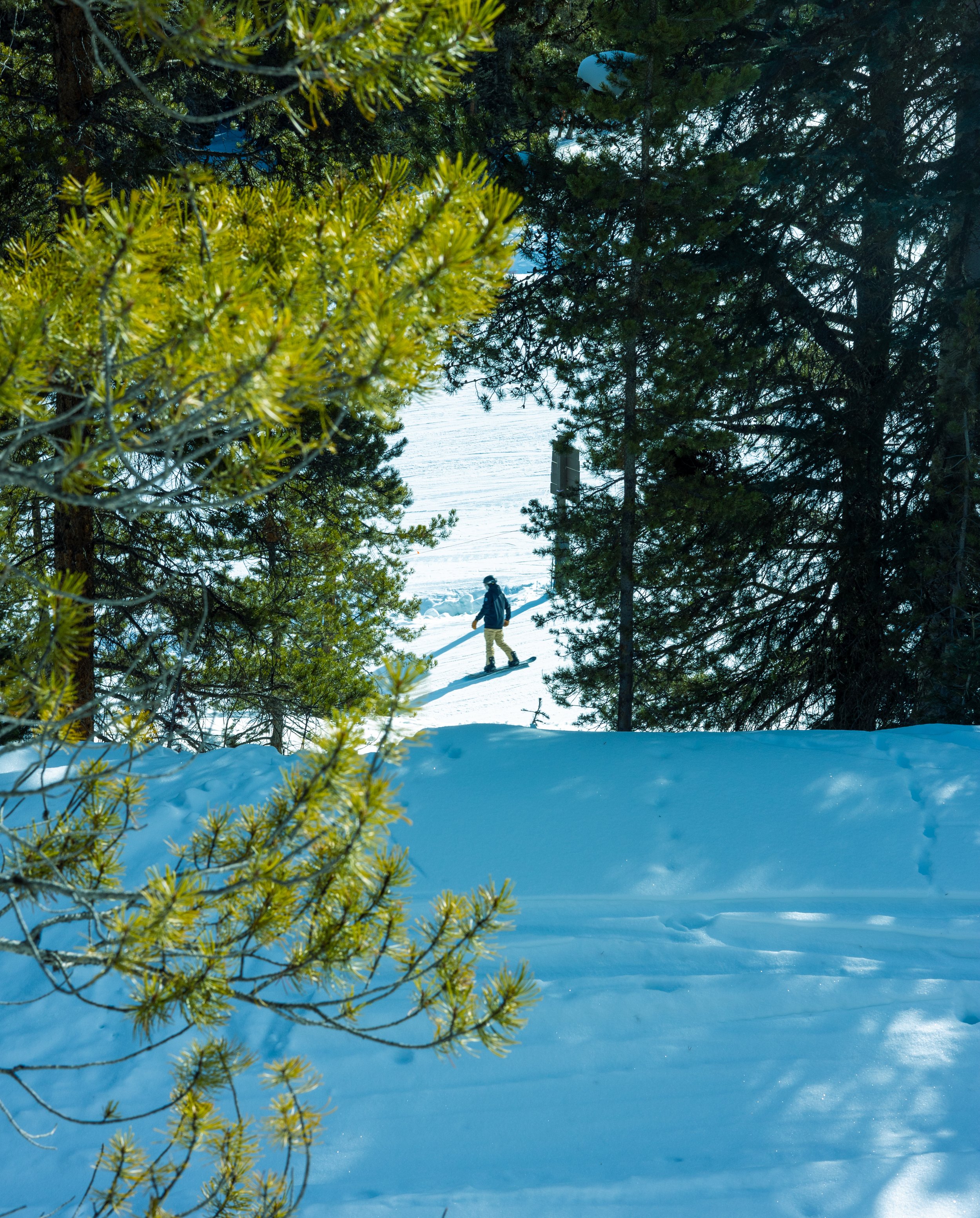  A snowboarder glides down a slope at the Crested Butte ski mountain on Friday, Jan. 5, 2024.&nbsp; 