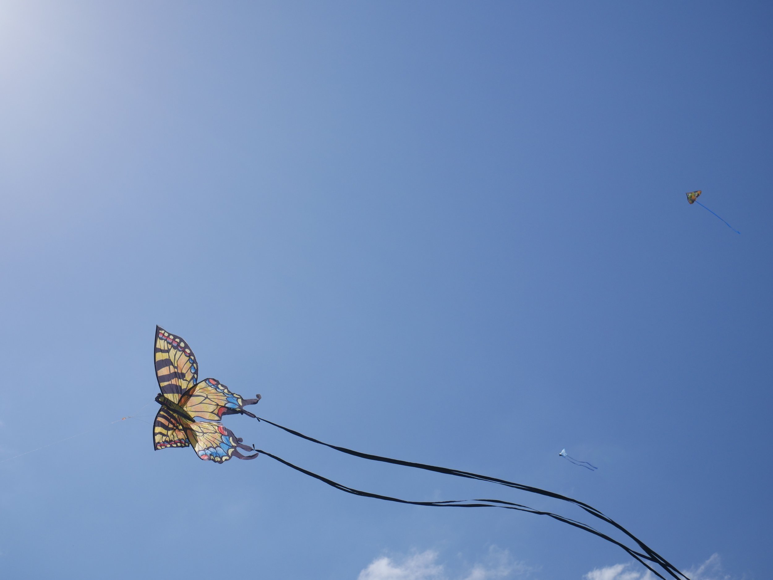  A butterfly kite is flown at the Kite Festival, Sunday, April 14, 2023, at Zilker Park in Austin, Texas. 