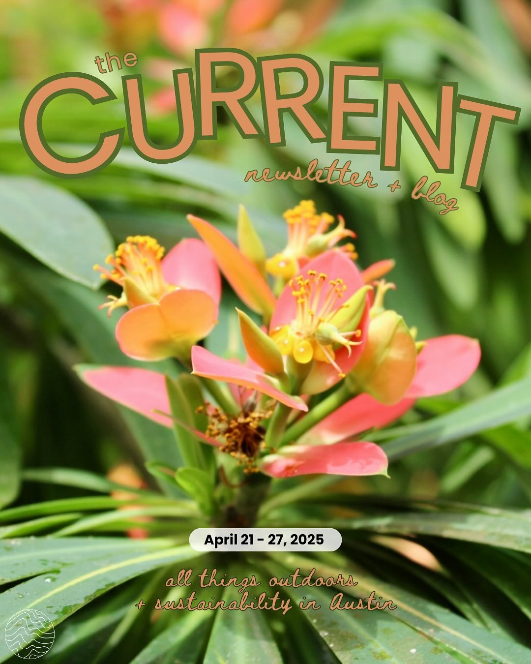 Looking to add some greenery to your life this week? 🪸🍄🦥 Swipe to see what&rsquo;s happening this week in Austin!!! 

🔗 Click the link in bio to subscribe to our weekly newsletter! 

📝: Clara Pesic (@clarapesic) 
📸: Nadely Requena (@nani.winki)