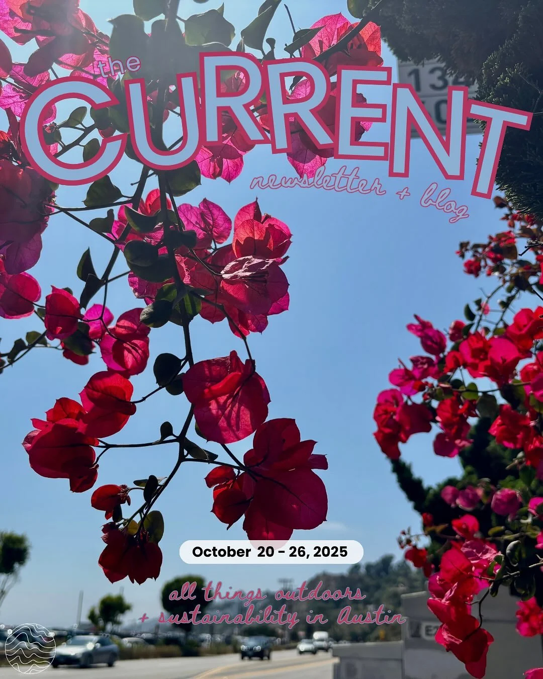 Busy this week? Well, now you definitely are 🌺
🔗 Click the link in bio to subscribe to our weekly newsletter! 
📝: Madeline Terry (@madeline_terry)
📸: Nadely Requena (@nani.winki)
🎨: Clara Pesic (@clarapesic)
#driftmagazine #driftwithus #natur