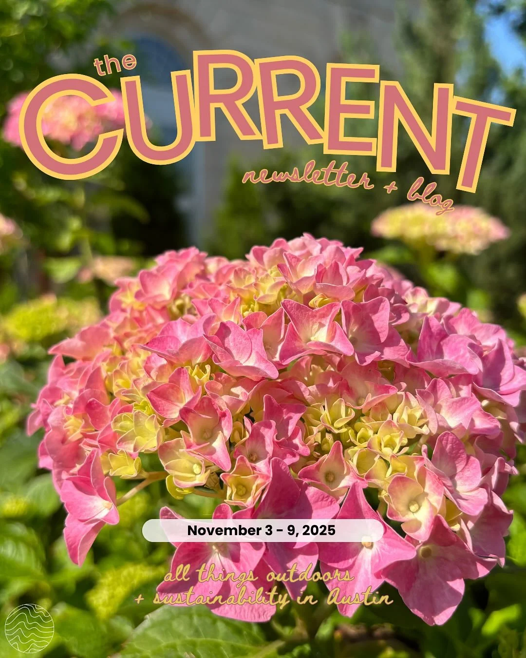 Happy Sunday, everyone! Check out what&rsquo;s going on this week 🌸🌷

🔗 Click the link in bio to subscribe to our weekly newsletter! 

📝: Madeline Terry (@madeline_terry) 
📸: Nadely Requena (@nani.winki) 
🎨: Madeline Terry &amp; Clara Pesic (@c