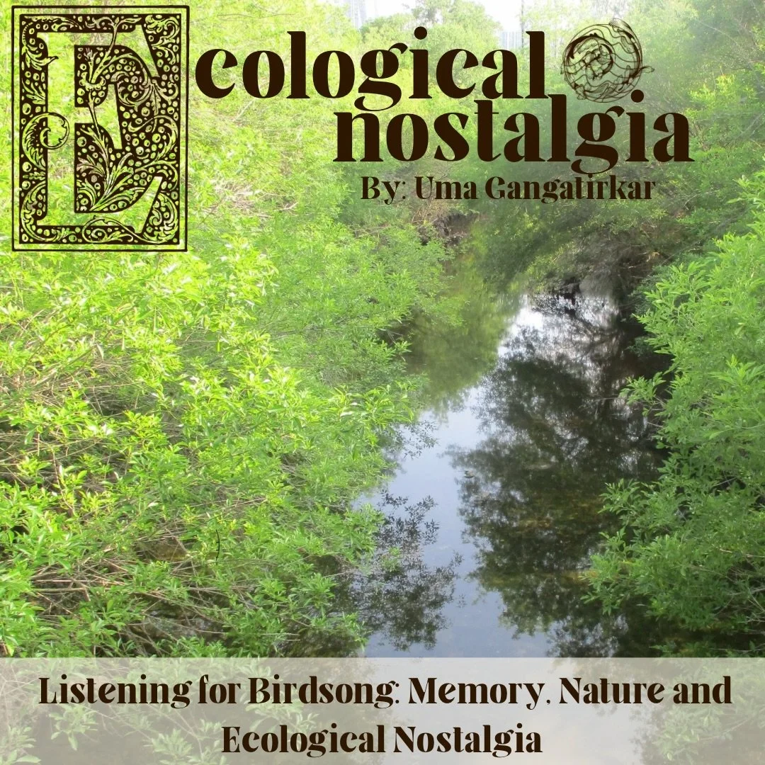 &ldquo;Ecological Nostalgia refers to the yearning for a time when we were closer to nature.&rdquo; 🌿📜

🔗: Read more through the link in bio! 

✍️: Uma Gangatirkar @umagangatirkar 
🎨: Kyla Crowell @kyla.crowell