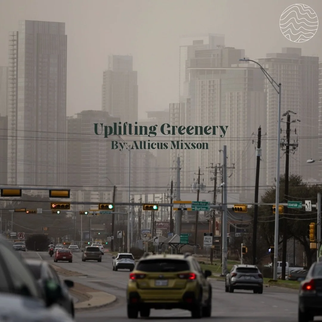 Learn more about nature&rsquo;s most well known pollinators! 🐝 🌸

🔗: Read more through the link in bio!

✍️: Atticus Mixson @attimix25 
🎨: Aalia Dhuka @aaliadhuka &amp; Kyla Crowell @kyla.crowell