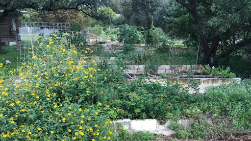 Outlets for Uplifting Green Spaces and Why They Matter