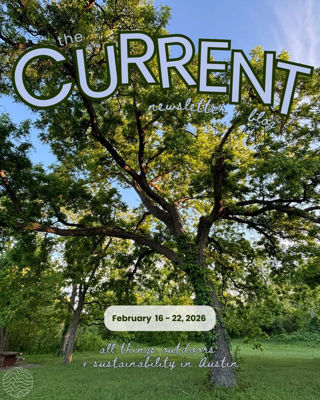 See what&rsquo;s happening this week in Austin!☀️ 
Make sure to sign up for our weekly newsletter with our NEW link in bio! 📰

📝: Olivia Carrell (@olivia_.carrell) &amp; Madeline Terry (@madeline_terry)
🎨: Madeline Terry