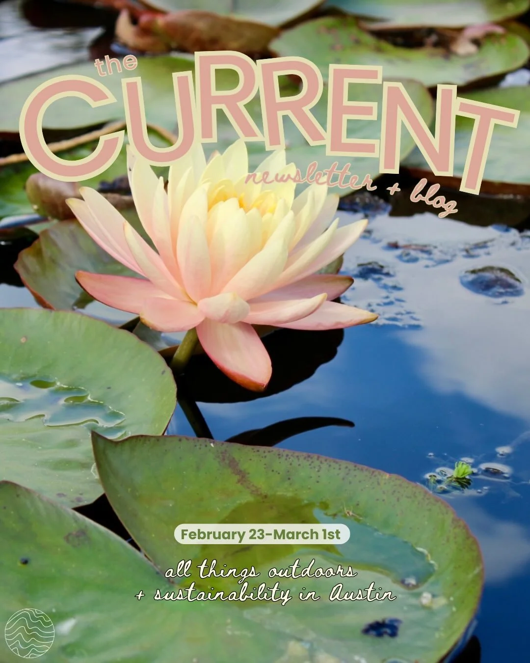 We are so excited for the events happening this week! 🪷🐝☀️

Make sure you sign up for our weekly newsletter with our link in bio! 

📰Newsletter staff: Madeline Terry, Olivia Carrell, Annela Camus and Gabi Gonzalez.