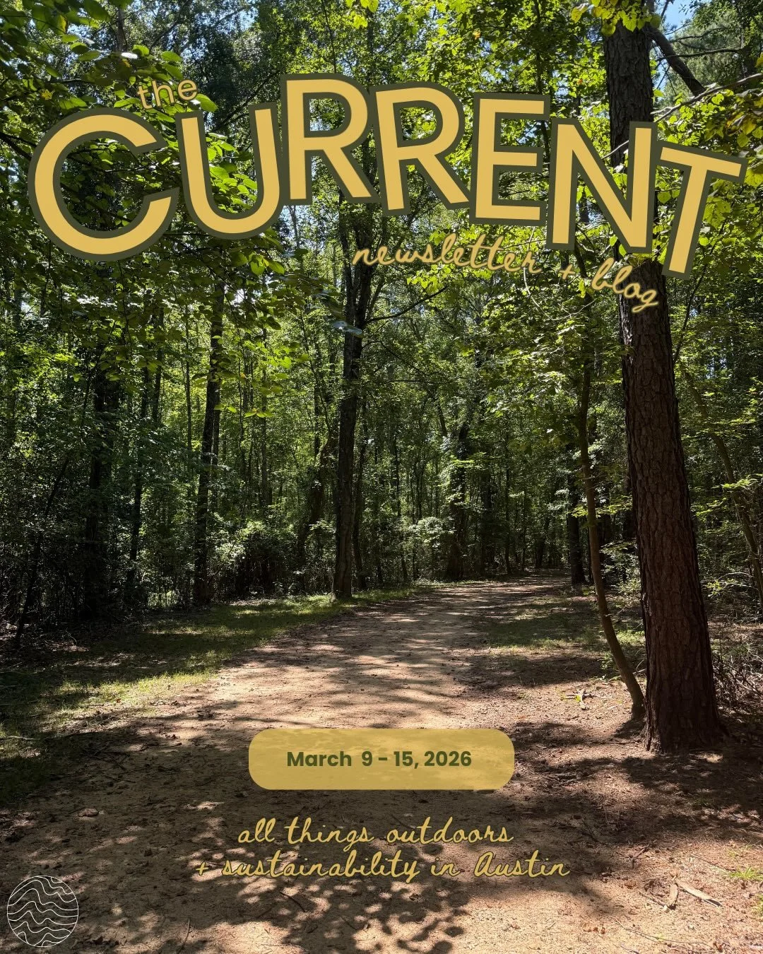 So many fun events this week!

Make sure you sign up for our Newsletter with the link in our bio! You don&rsquo;t want to miss it 🙌

📝: Gabi Gonzalez, Annela Camus, Madeline Terry and Olivia Carrell. 
📸 &amp; 🎨: Madeline Terry