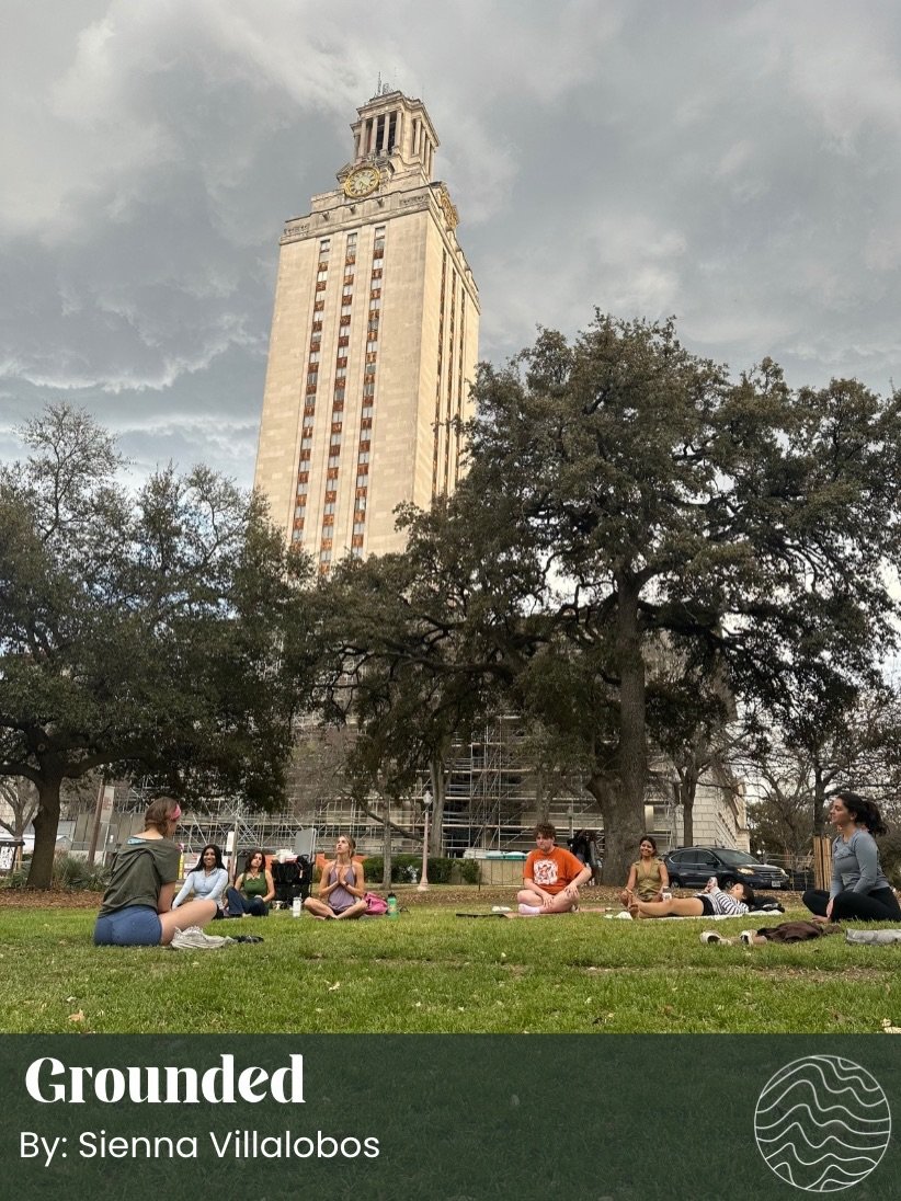 Sienna&rsquo;s grounded! 🌱

🔗: Read more online through the link in bio! 

🎨: @aaliadhuka