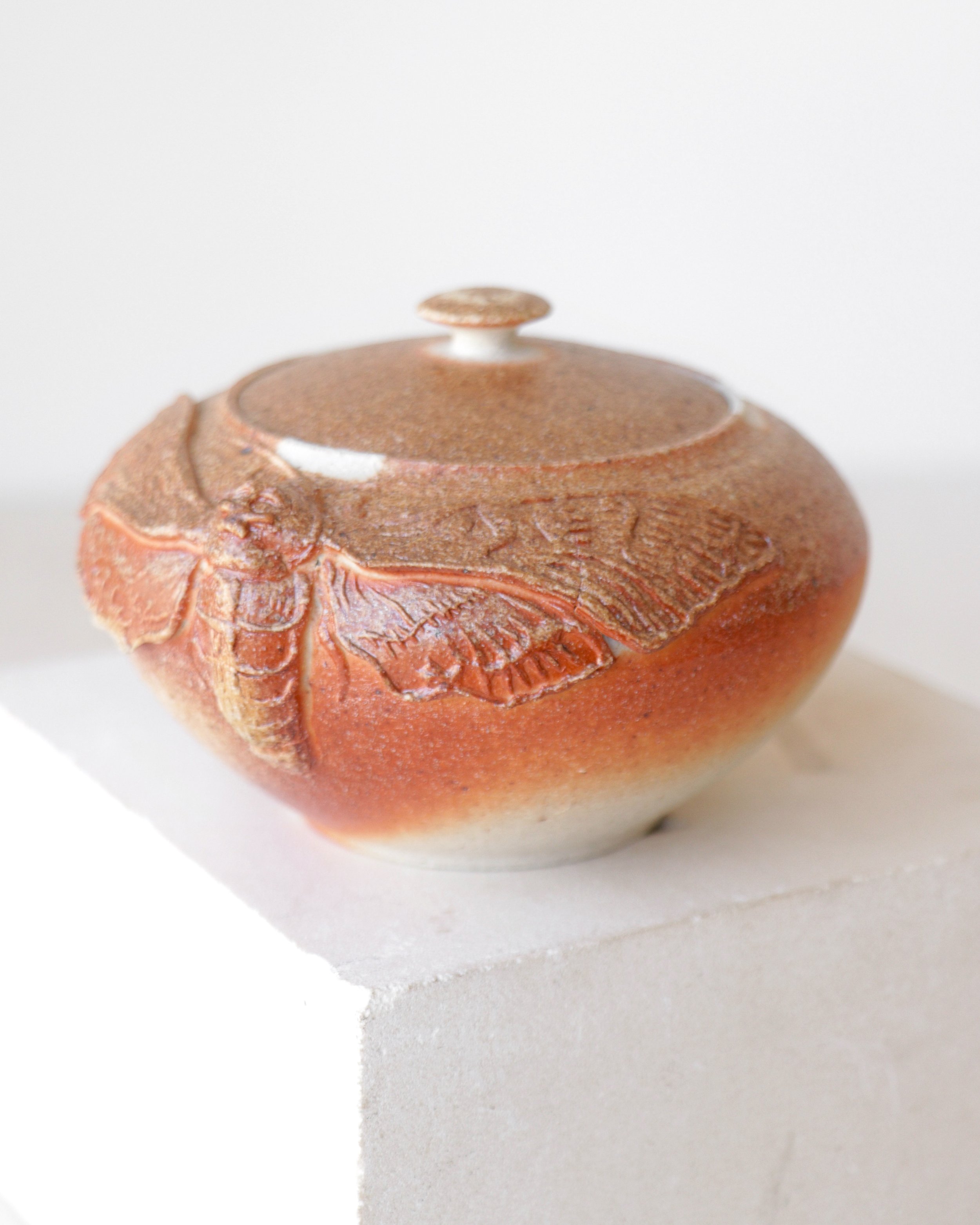 Wood Fire Death's Head Hawkmoth Jar