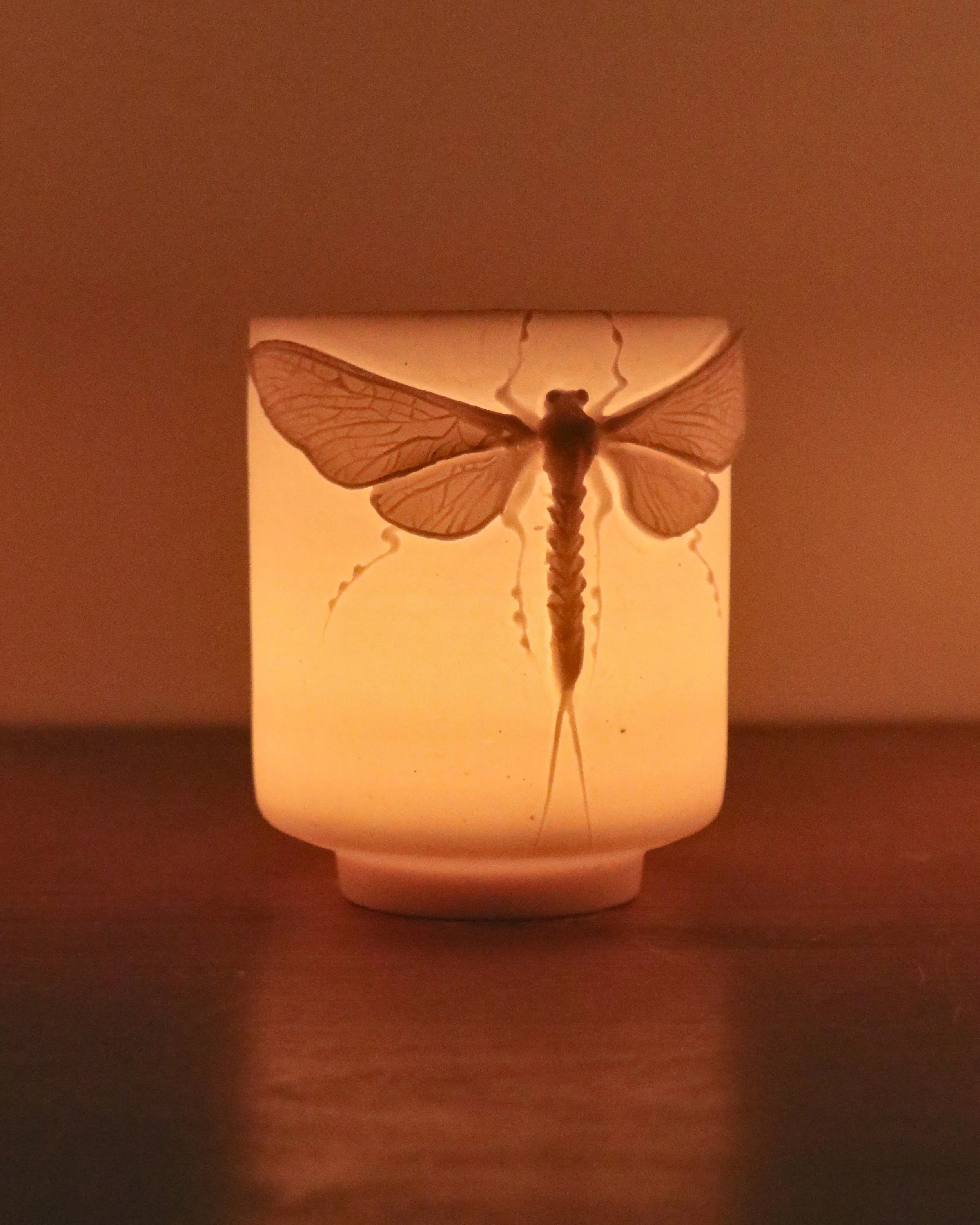 Mayfly Luminarie