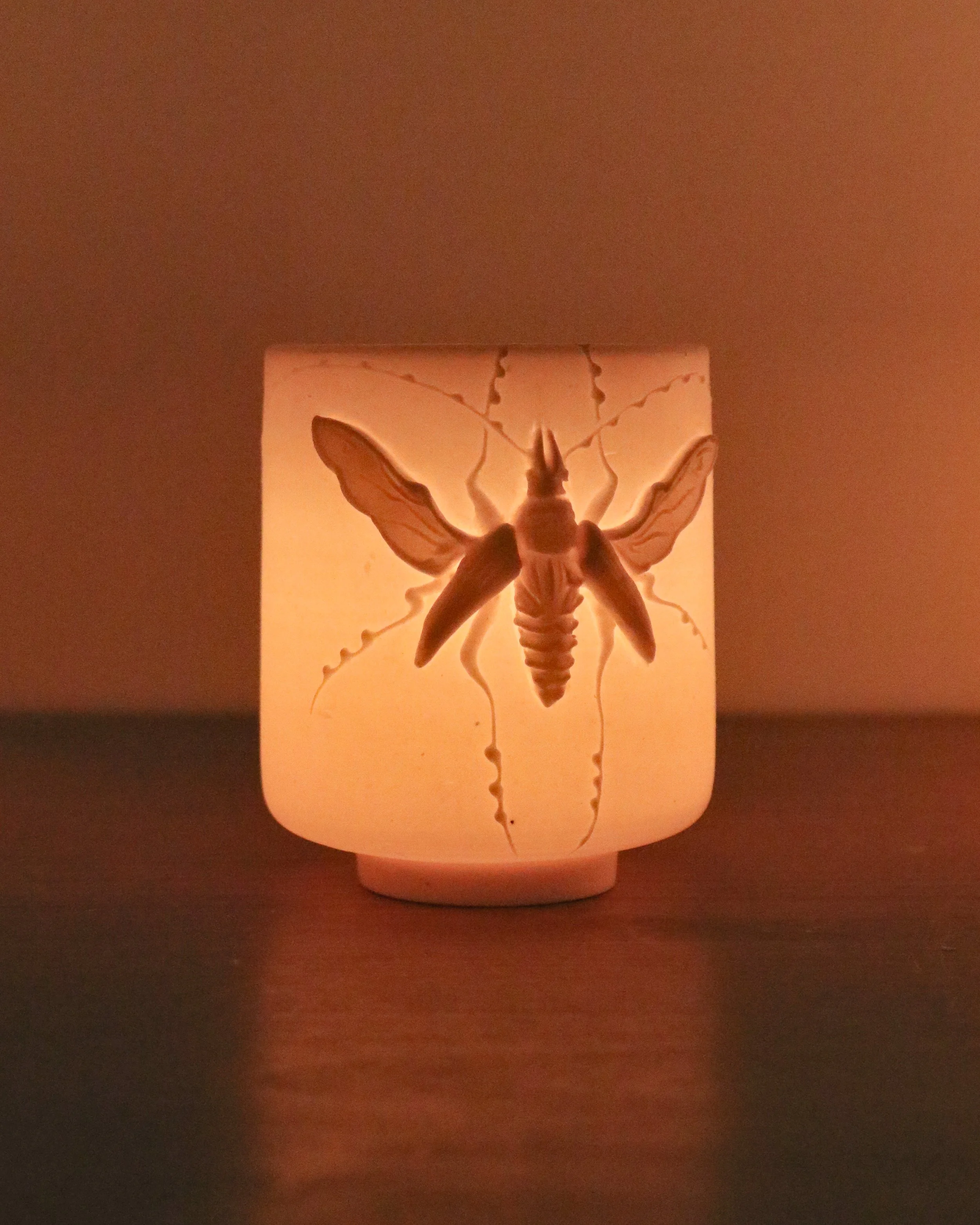 Longhorn Luminarie 1