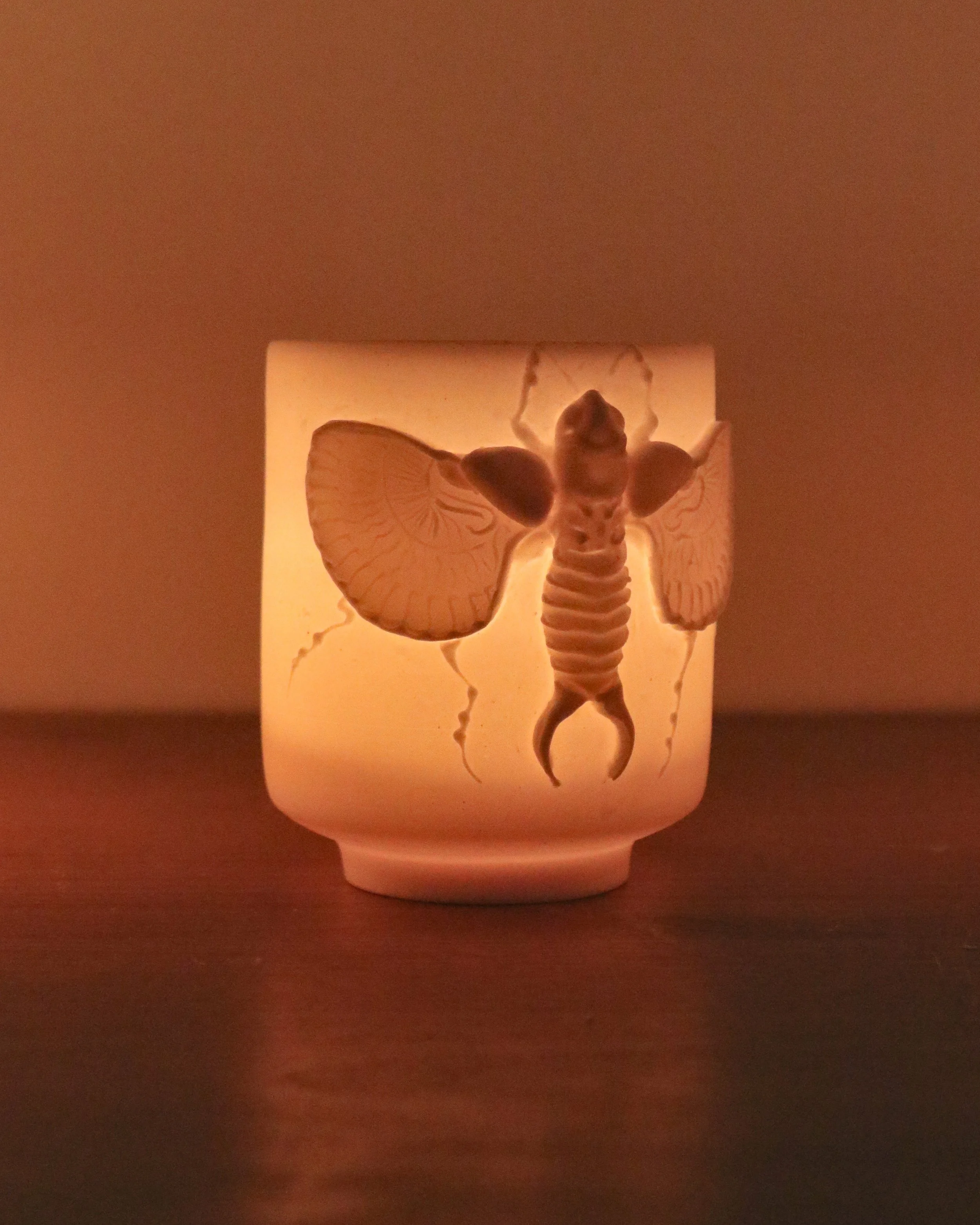 Earwig Luminarie