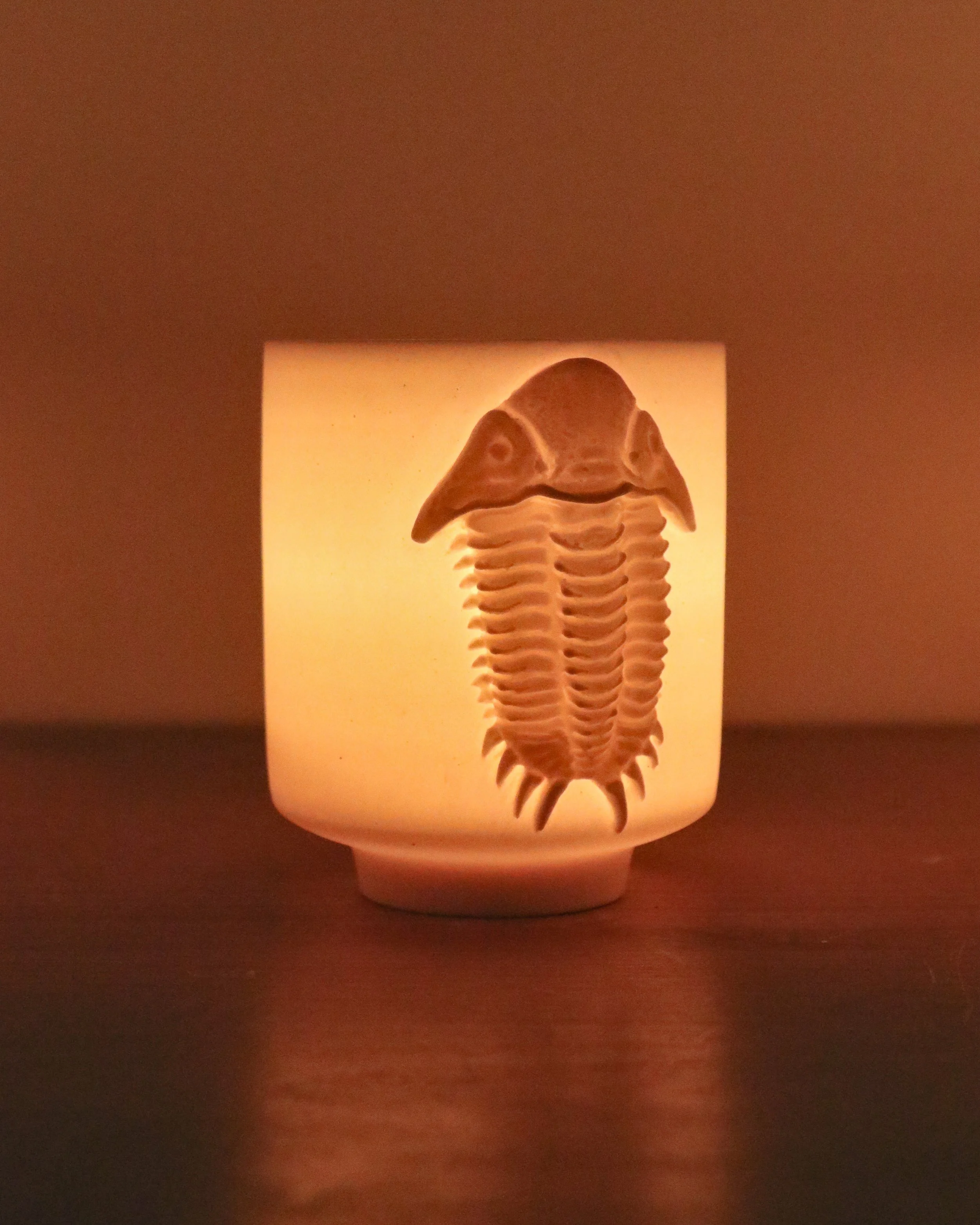 Trilobite Luminarie 3 **2nds**