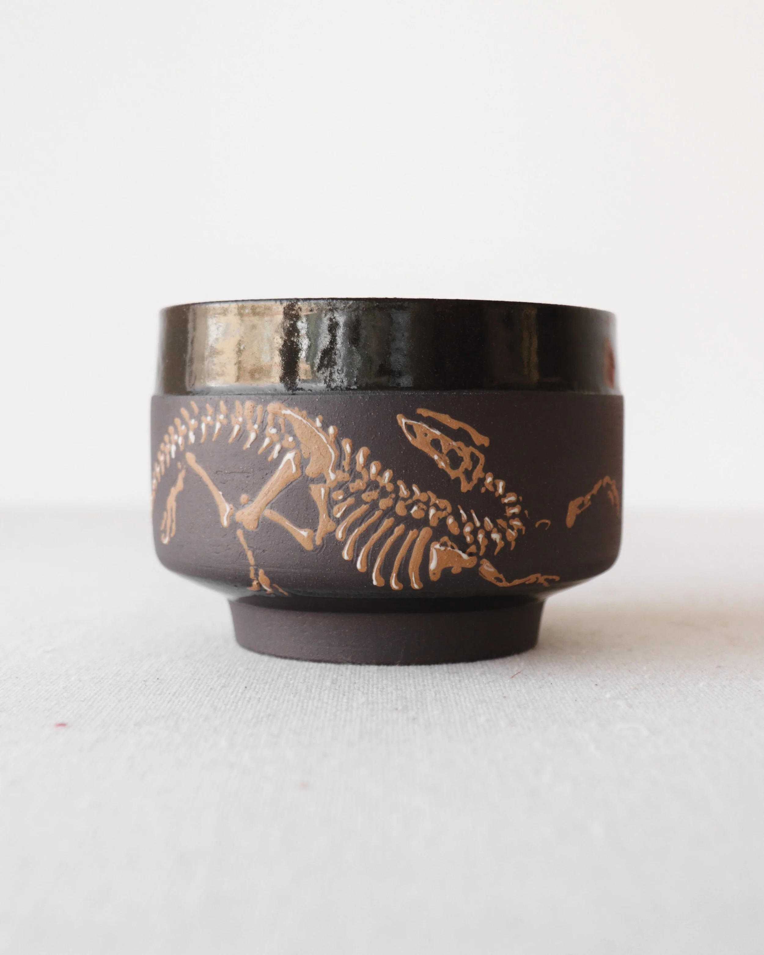 Albertosaurus Chawan