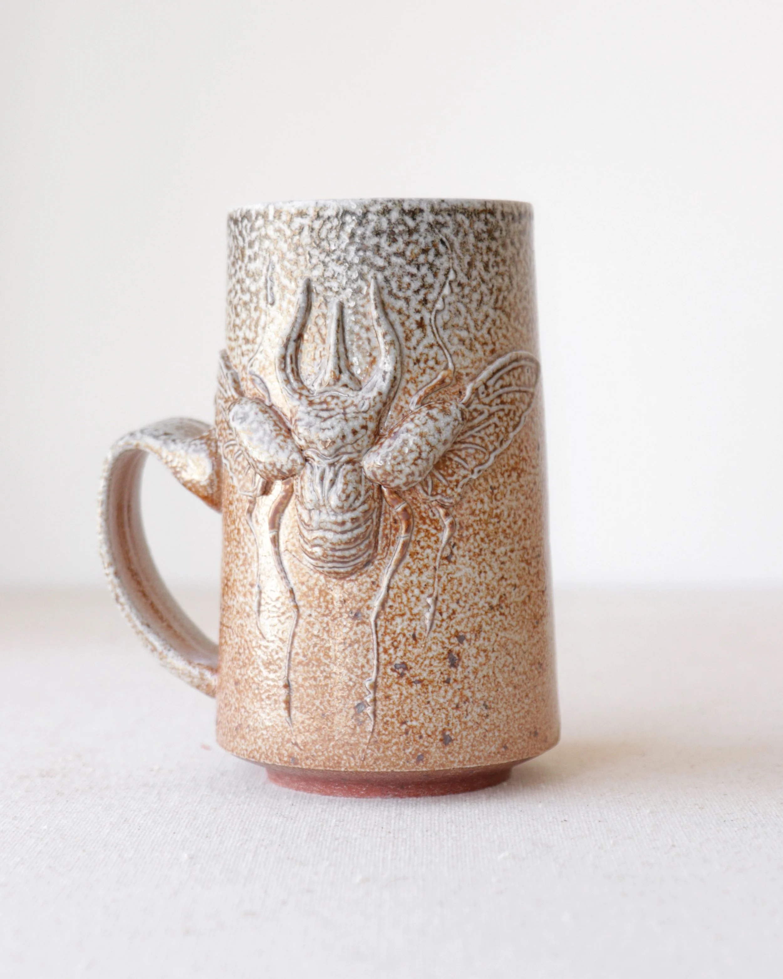 Salt Fire Atlas Beetle Stein