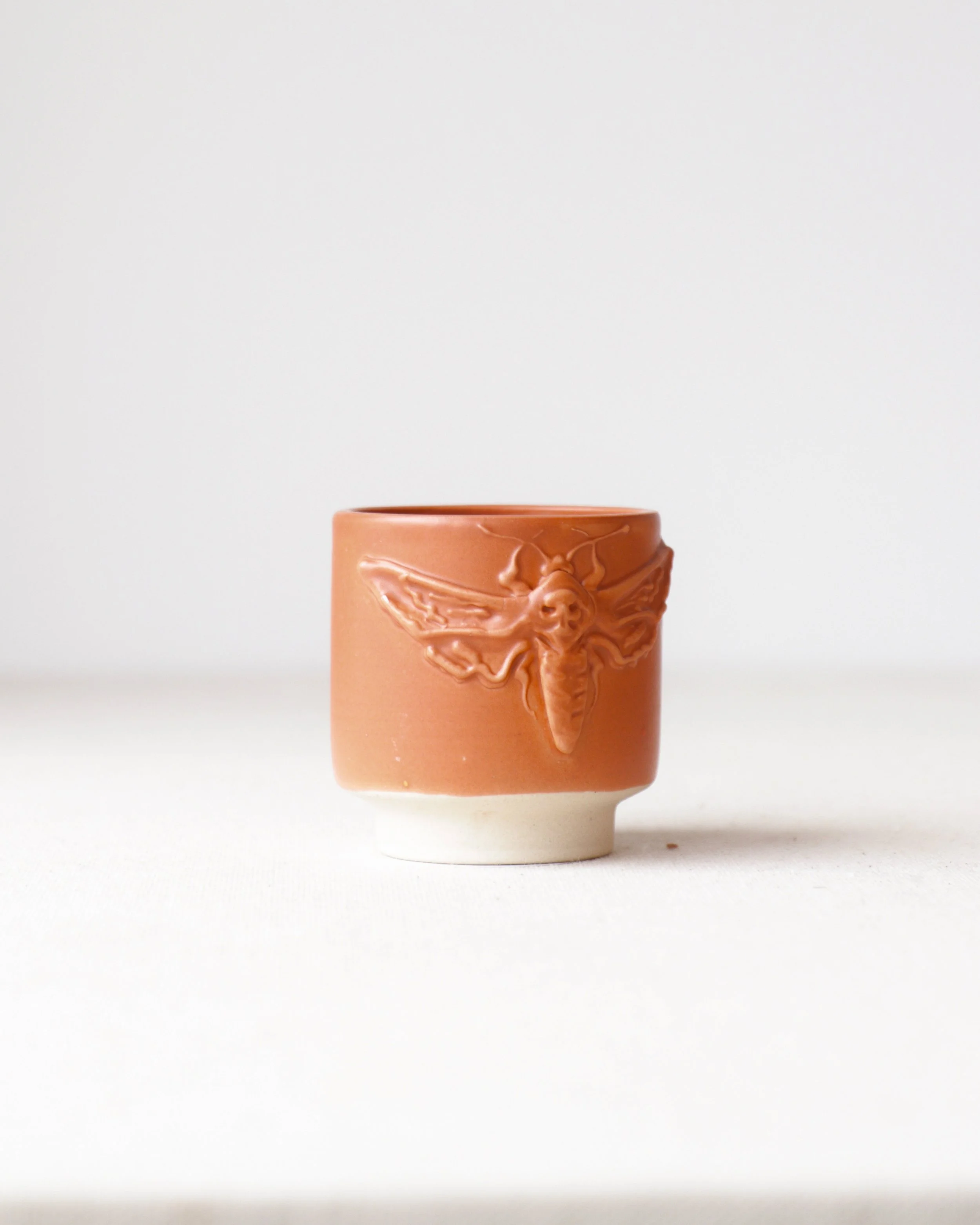 Small Terracotta Death's Head Hawkmoth Tea Cup