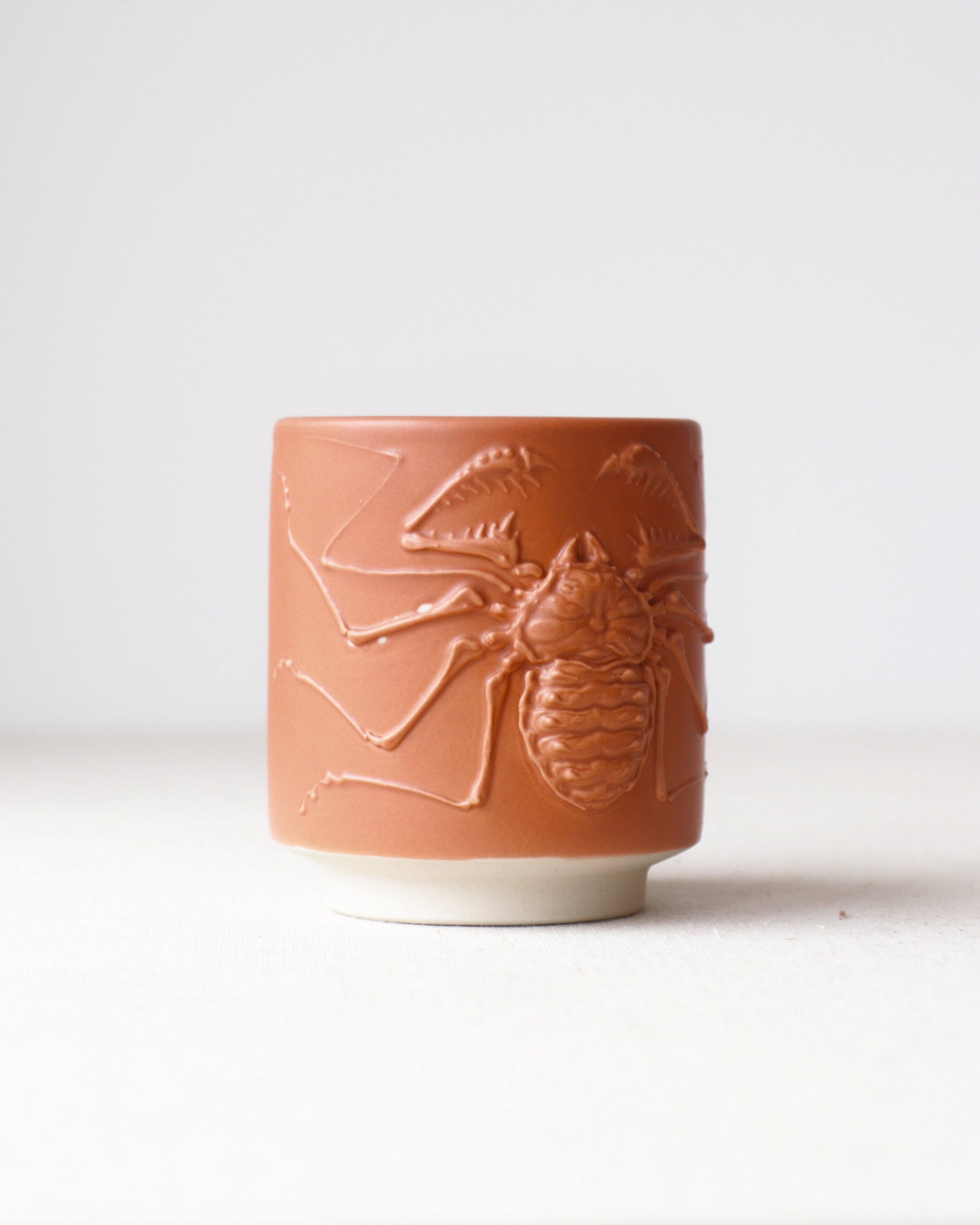 Terracotta Amblypygi Tumbler **2nds**