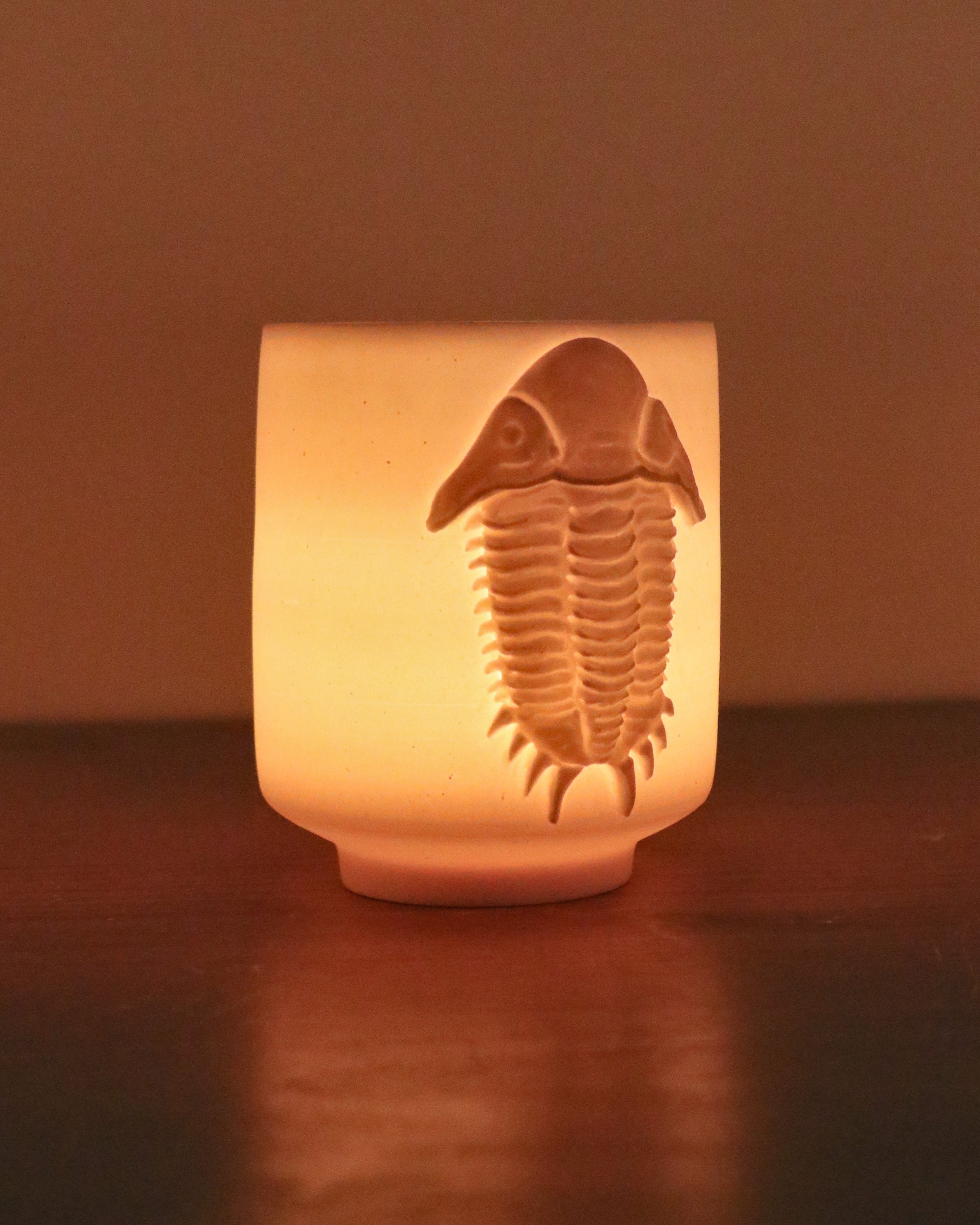 Trilobite Luminarie 2 **2nds**