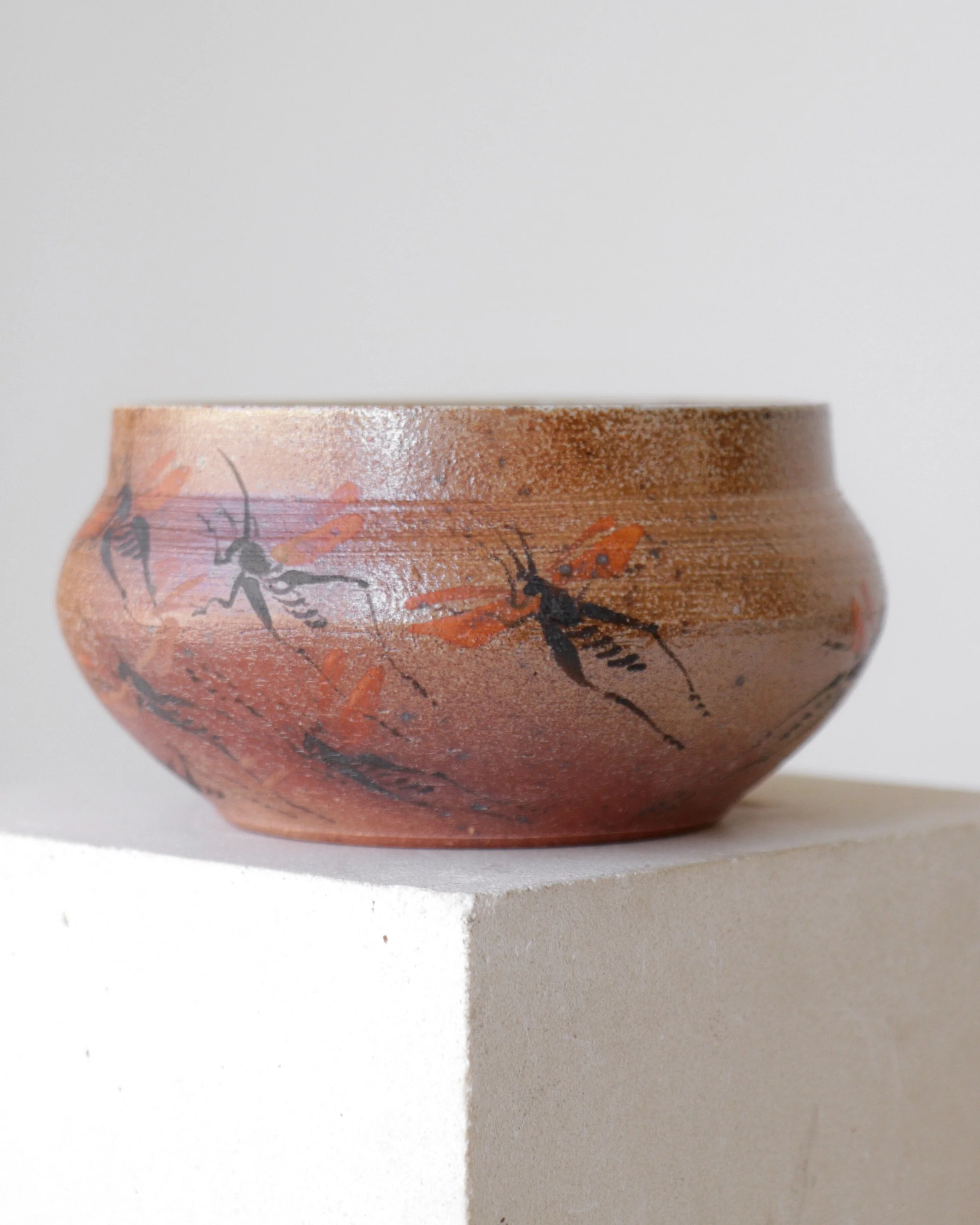 Salt Fire Locust Swarm Tea Bowl 2