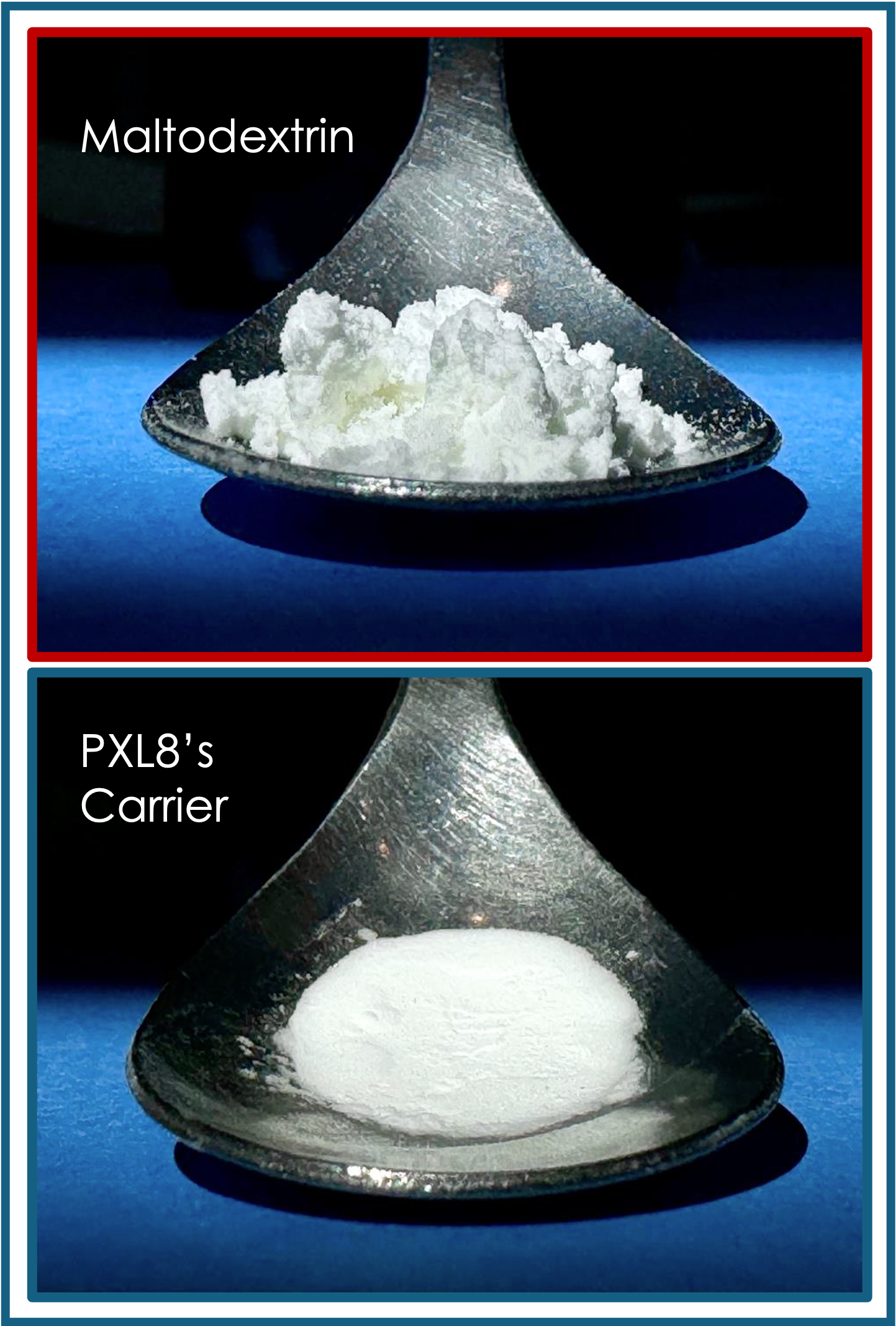 Two black spoons with blue backgrounds. The top spoon contains maltodextrin powder, and the bottom spoon contains PXL8's carrier powder.