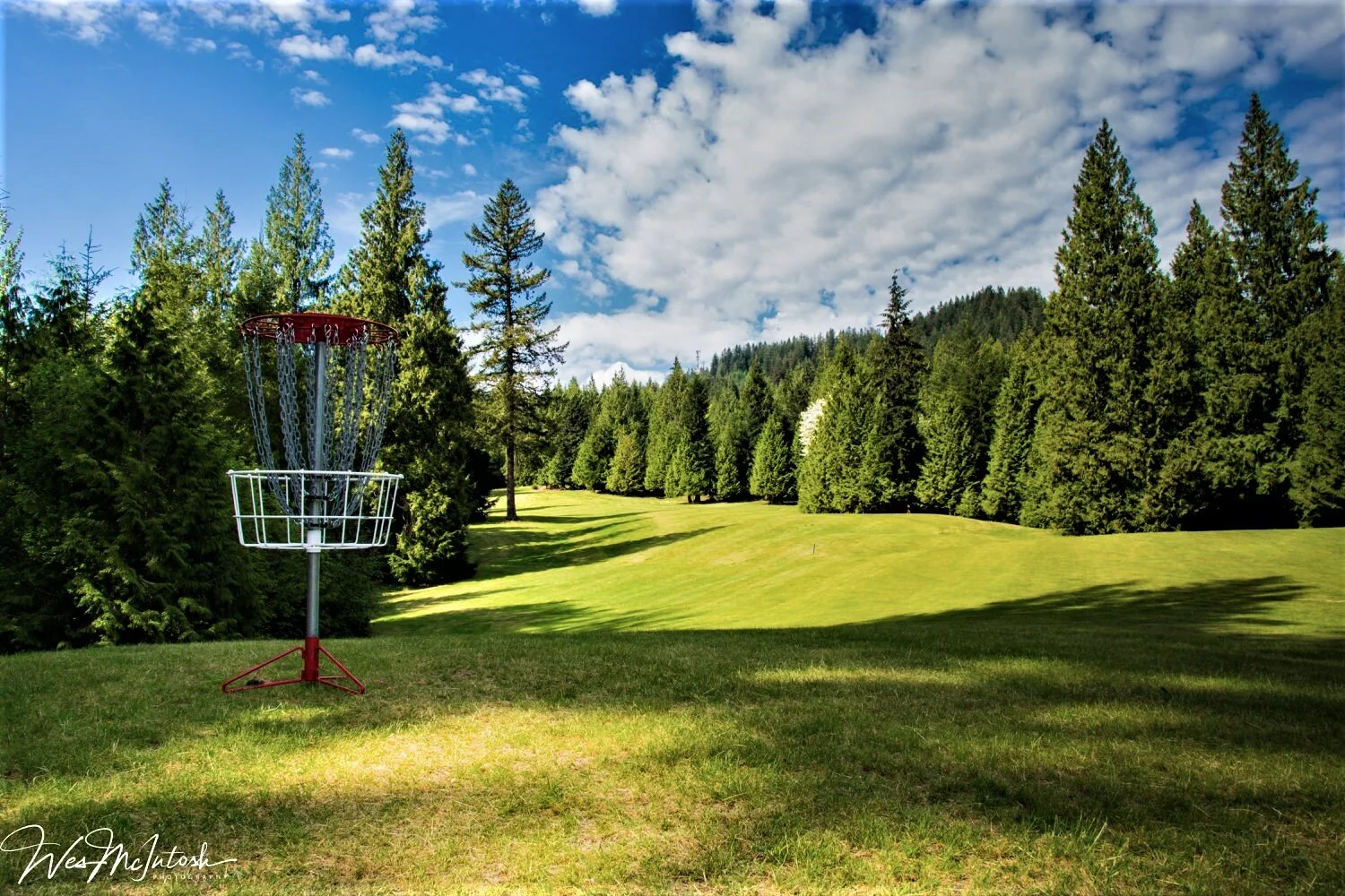 Disc Golf Course Design Services — INdesign Disc Golf Course Design