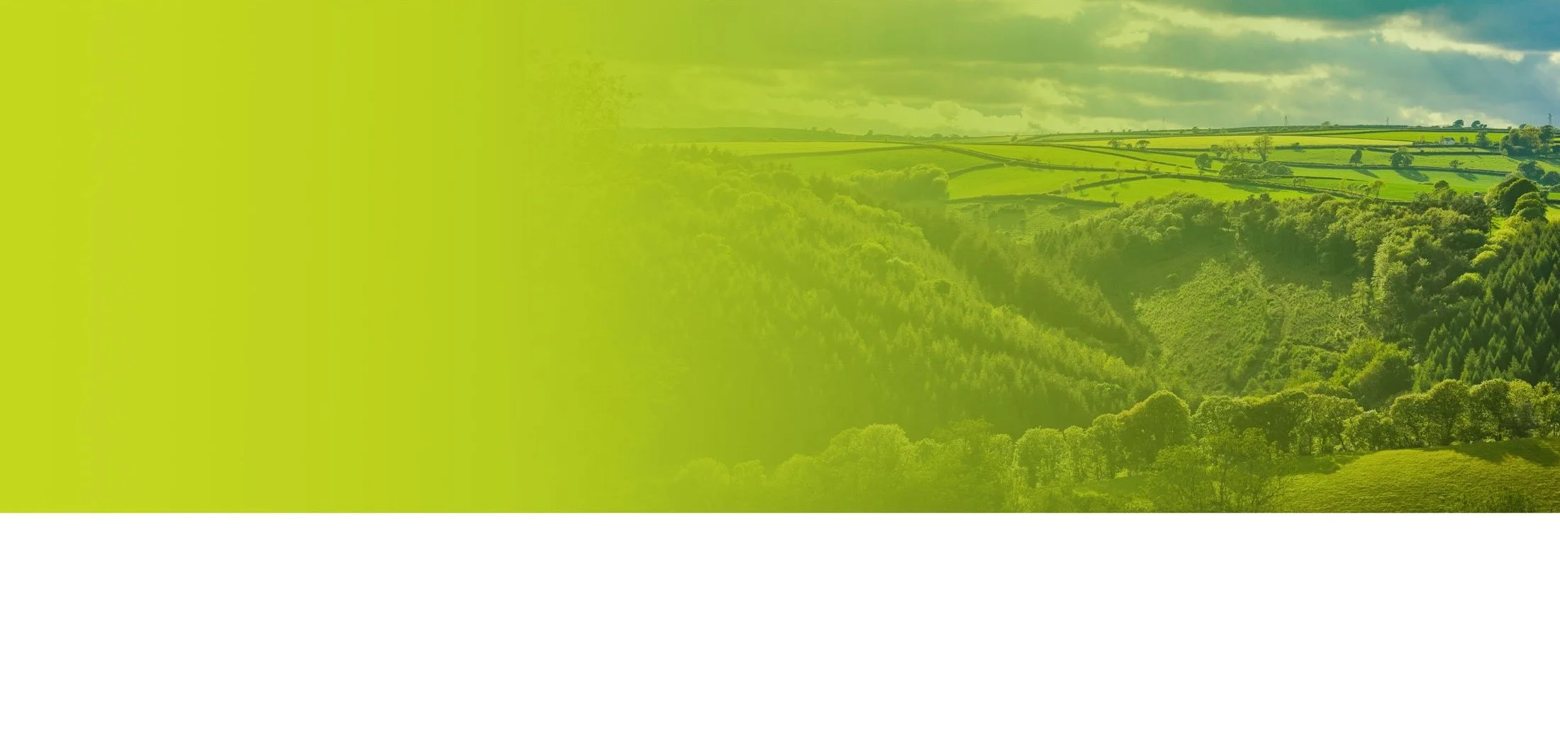 Test Valley Packaging