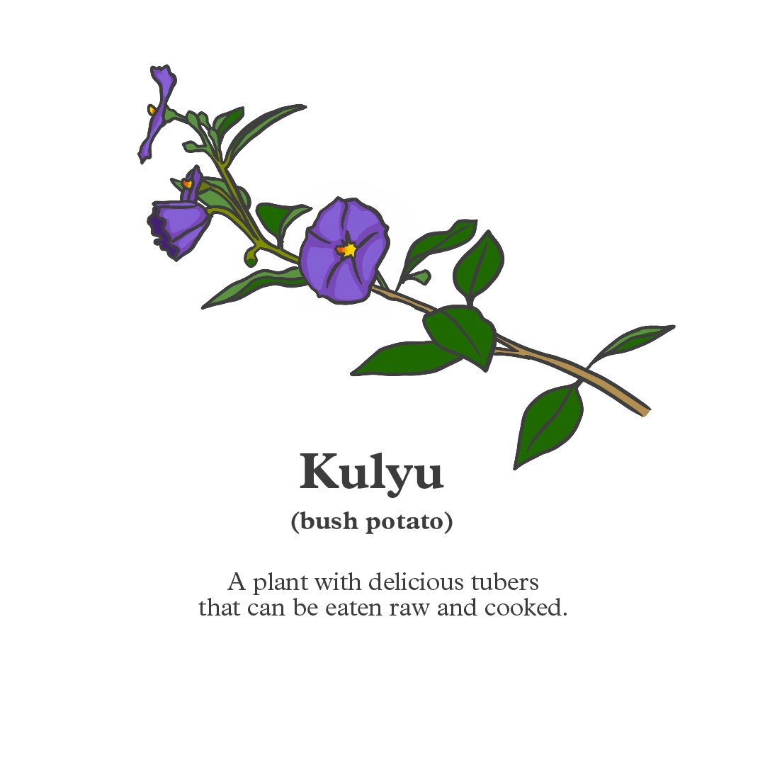 Kulyu.jpg