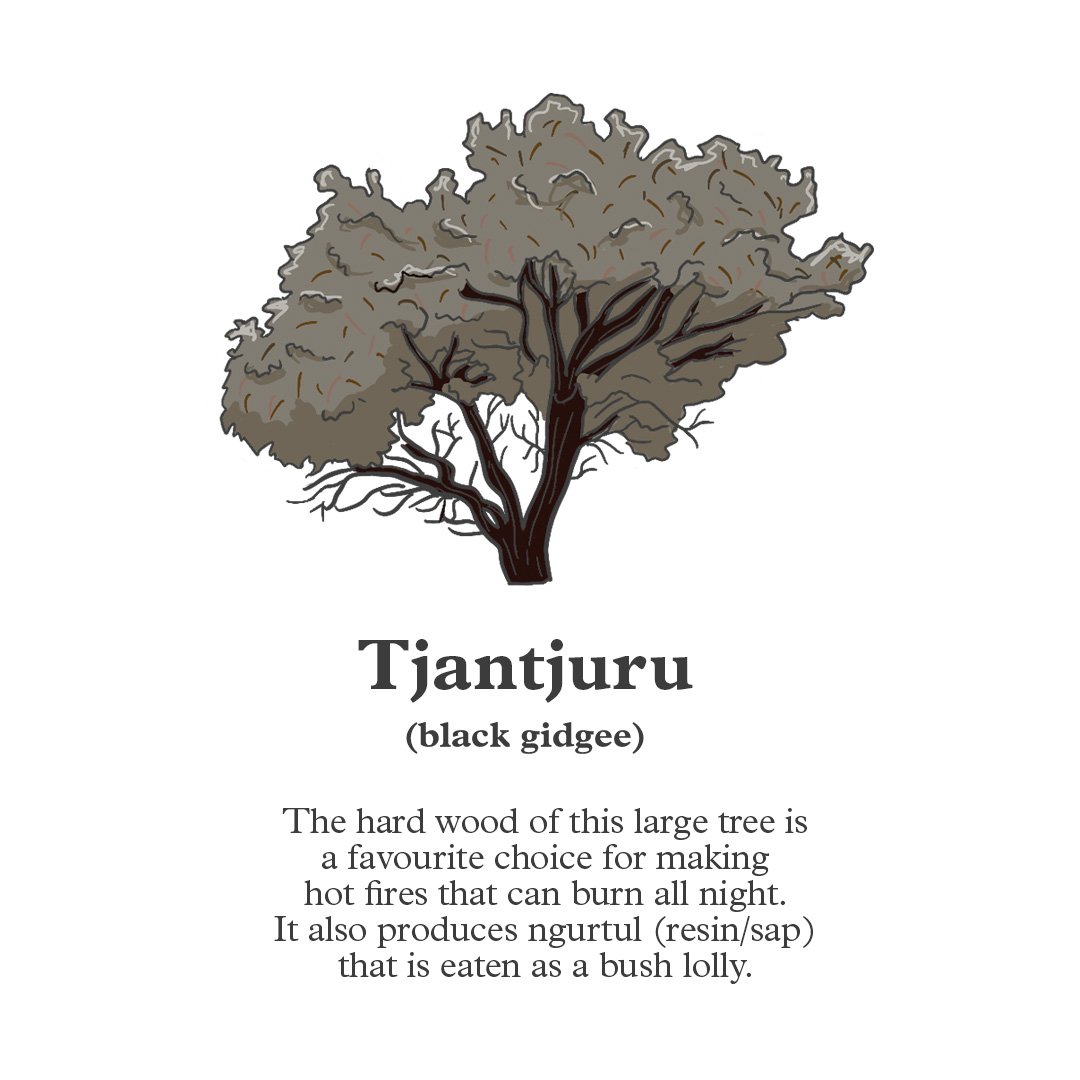 Tjantjuru.jpg