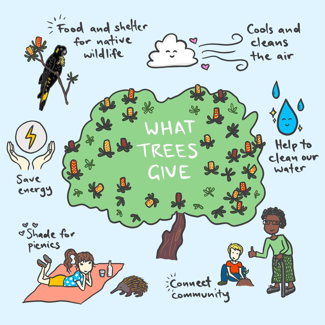 What_Trees_Give3.jpg
