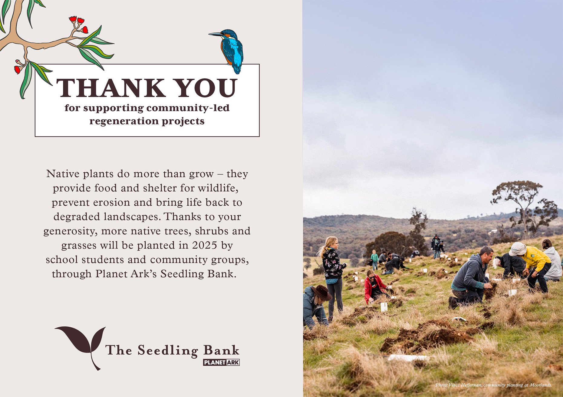 TSB_DigitalThankYouCard_2024.jpg