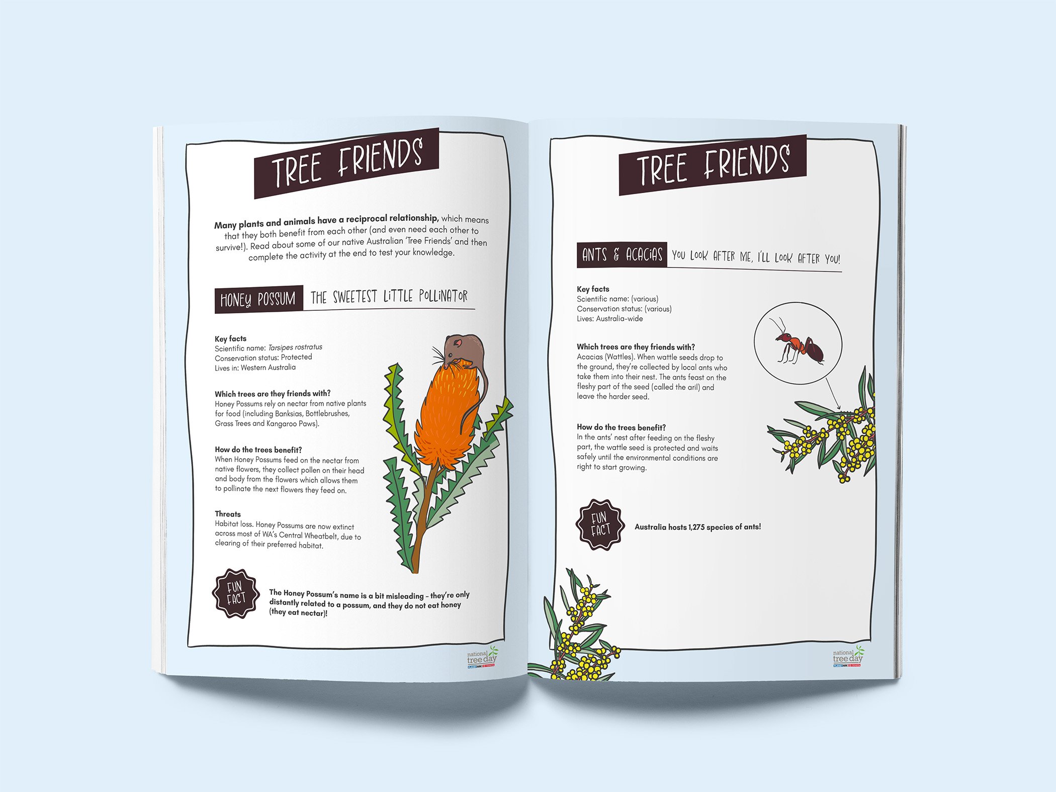 ActivityBookPages5.jpg