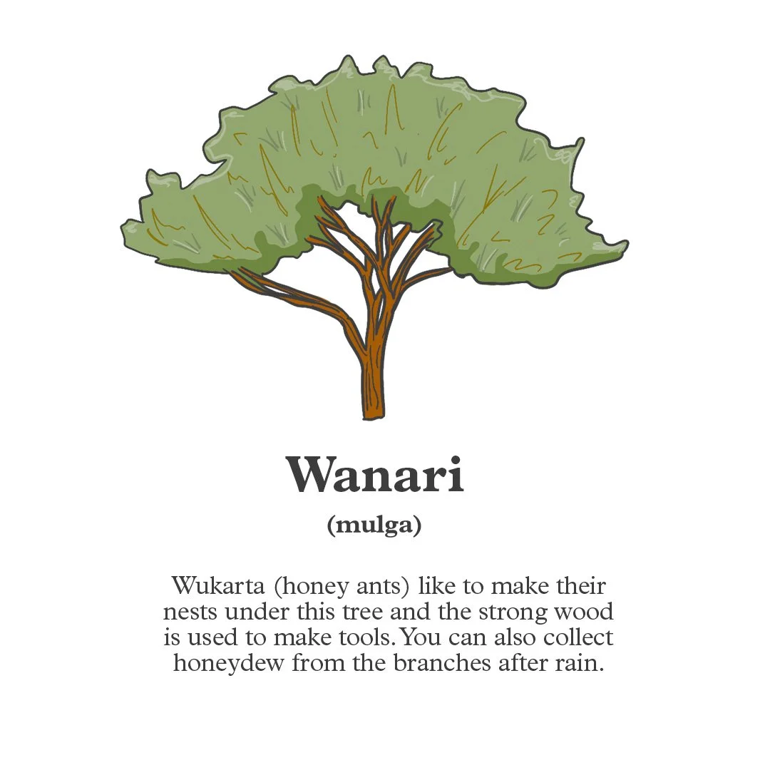 Wanari.jpg