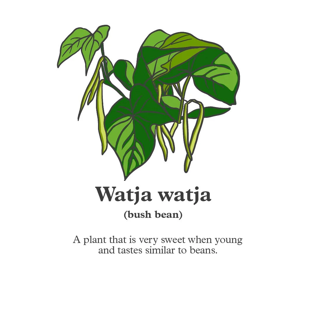 Watja_watja.jpg