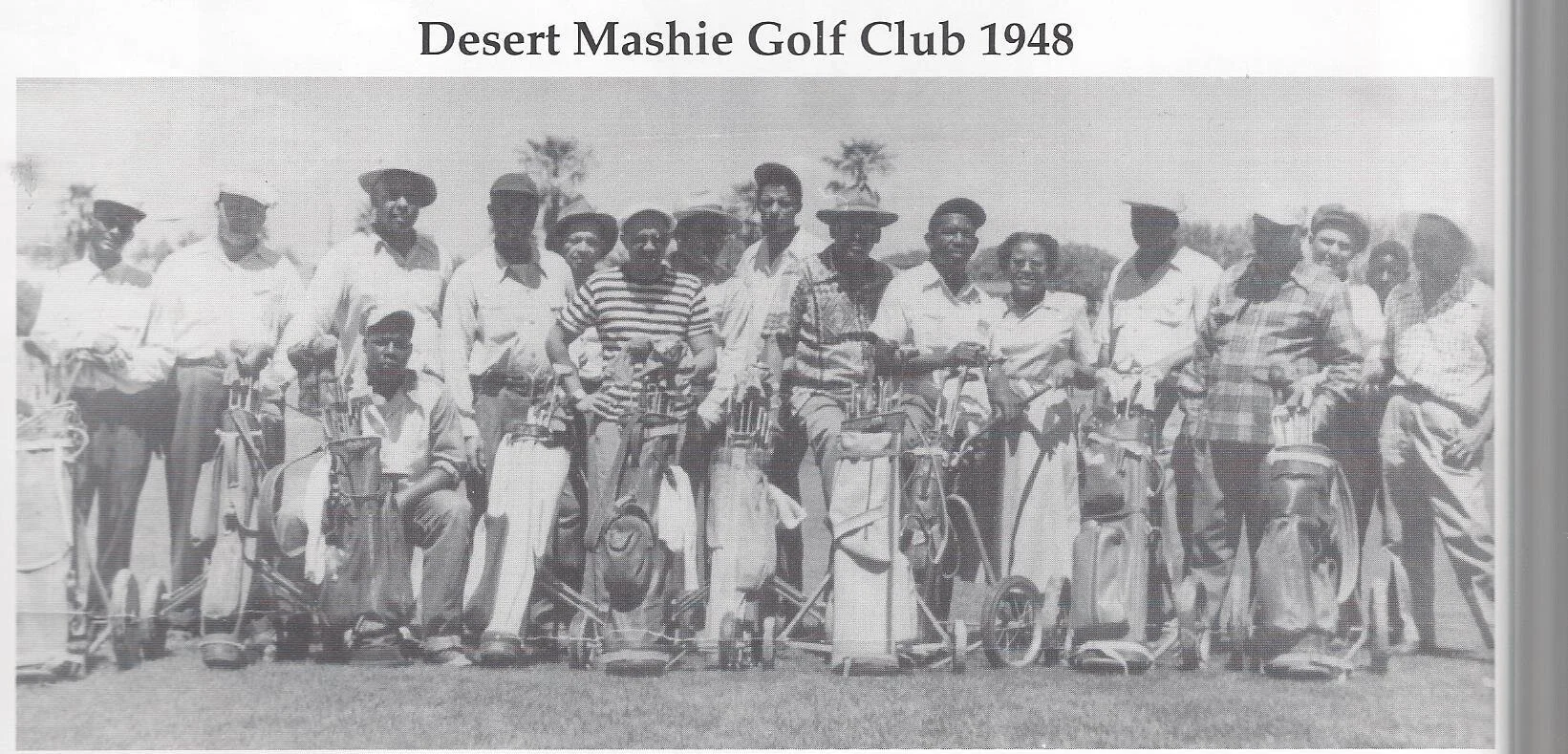 About Us — Desert Mashie