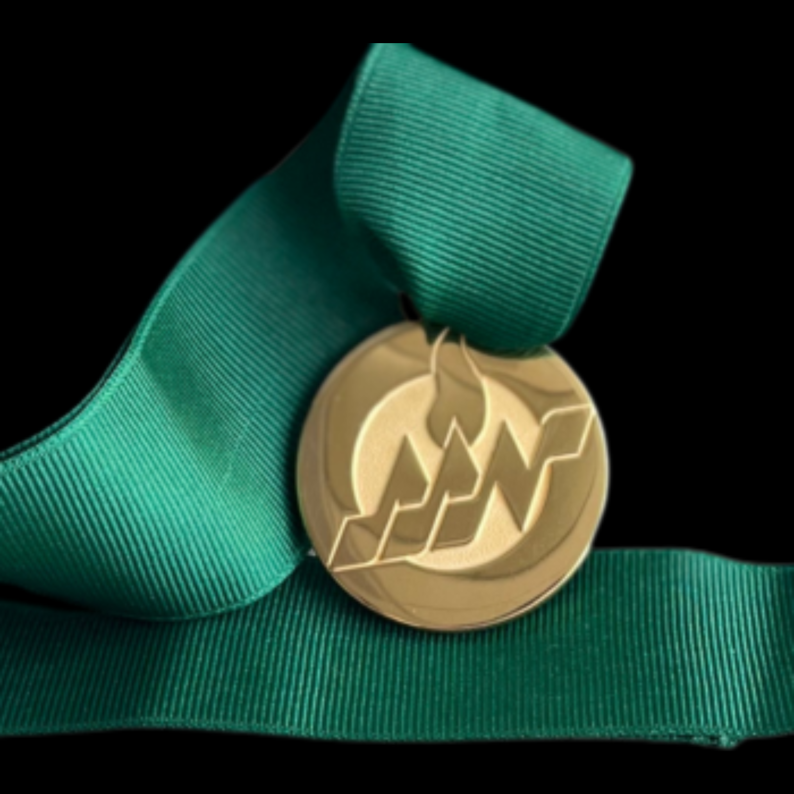 Fellow of The American Academy of Nursing 2023