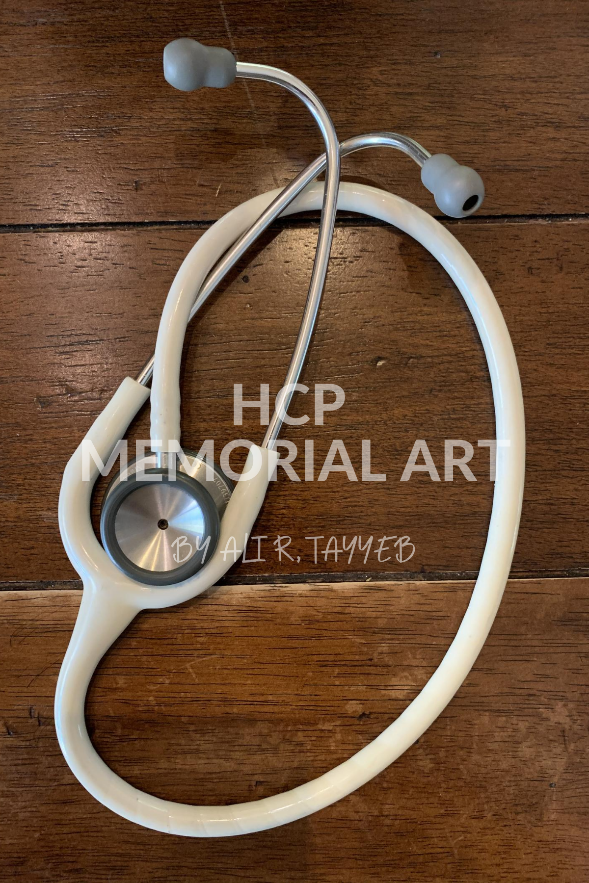 HCP MEMORIAL ART (2).png