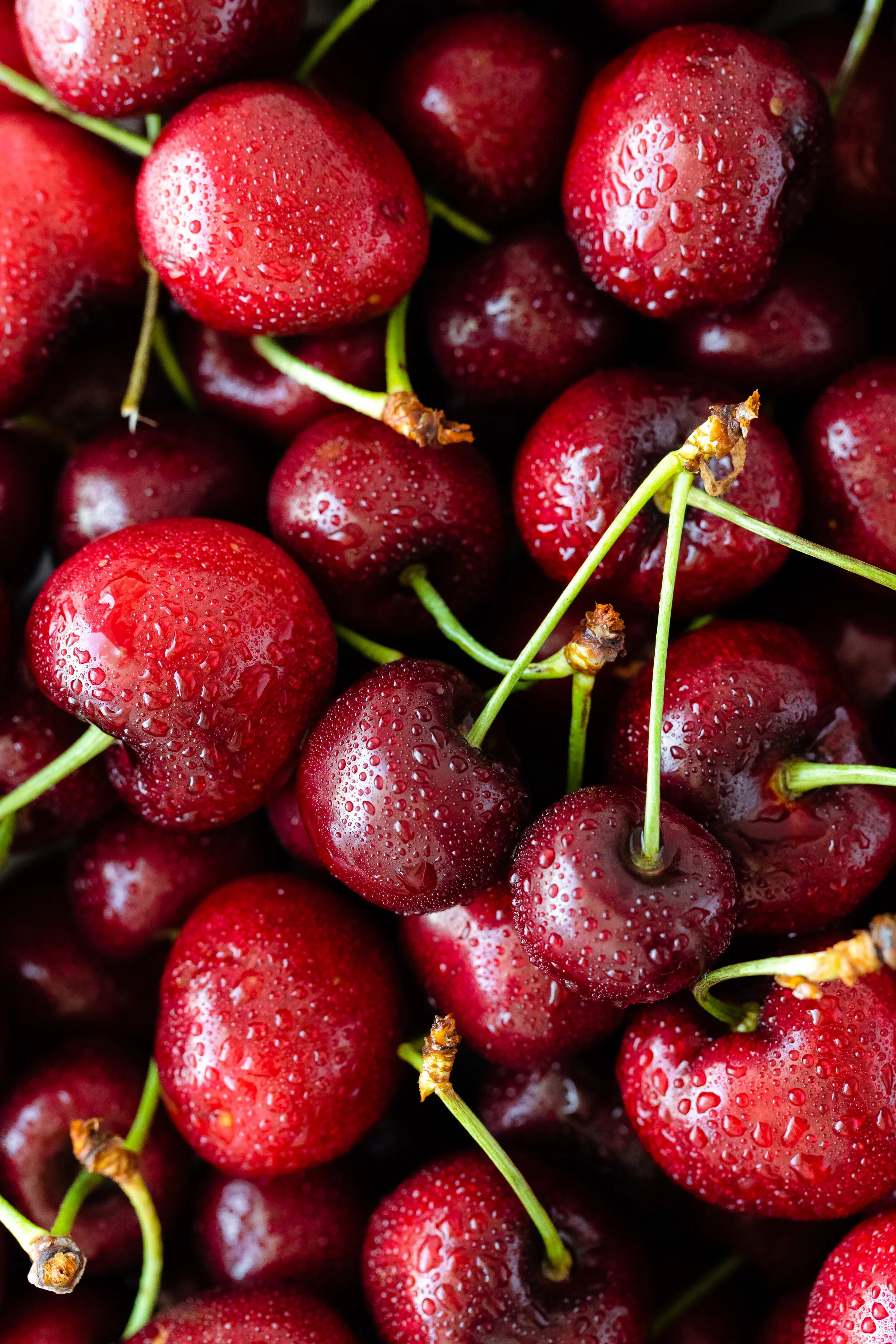 Cherries-3.JPG