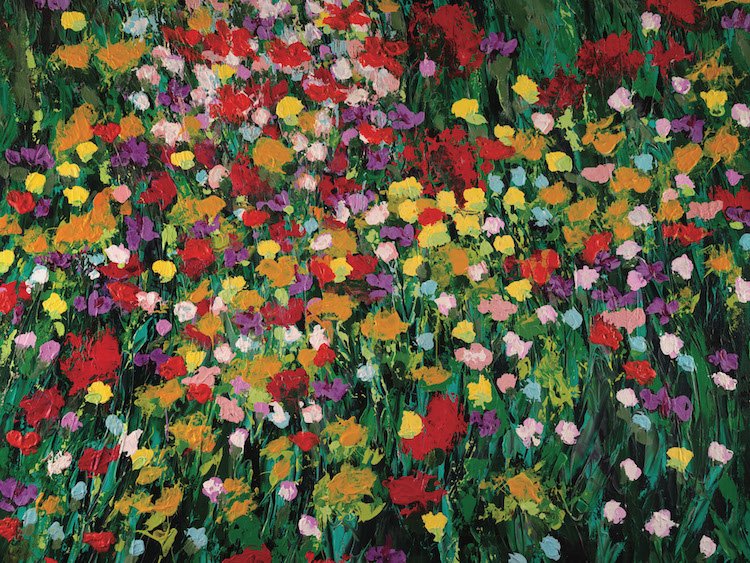 HPA116_Flower Blast.jpg