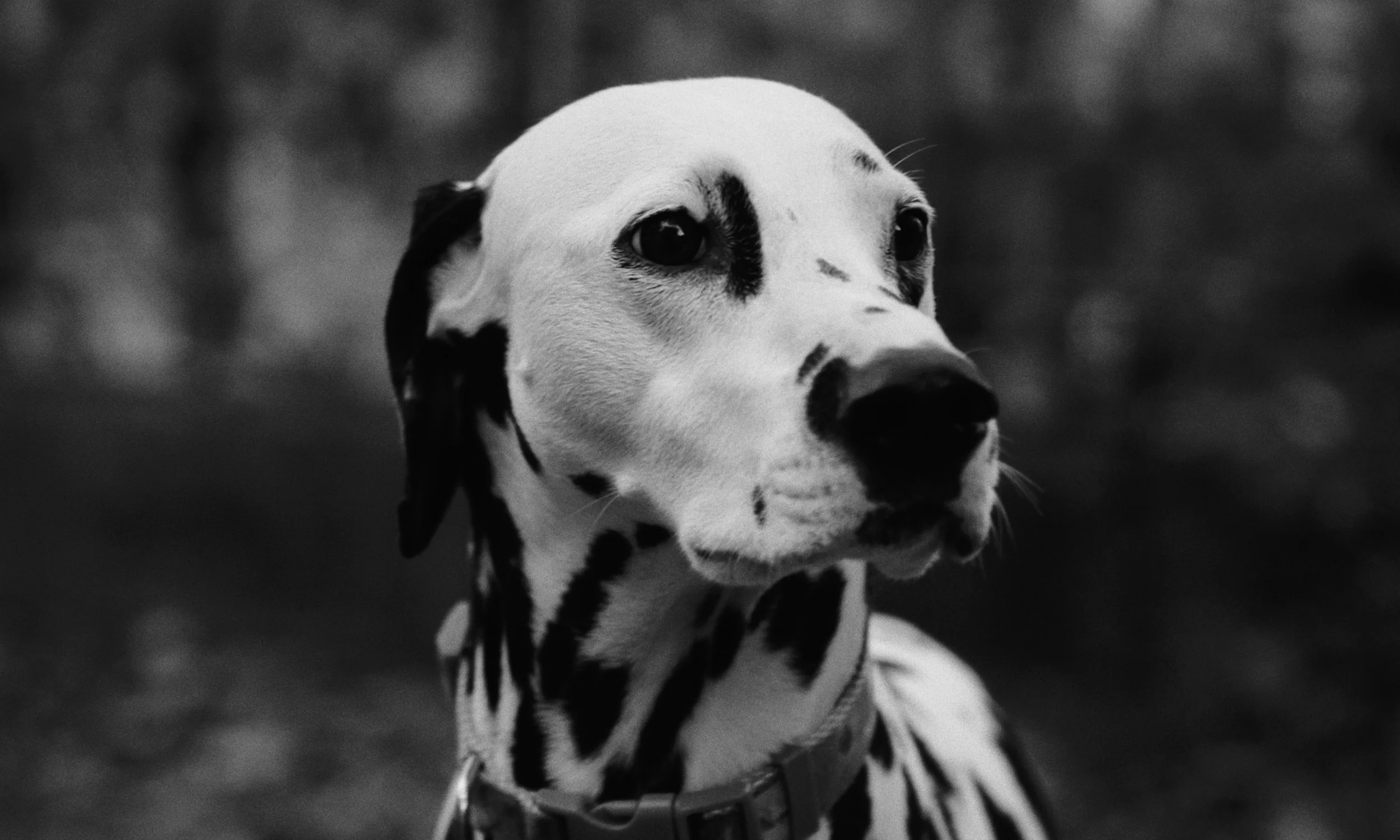 Screenshot 2025-12-28 at 12.24.33 AM.JPG