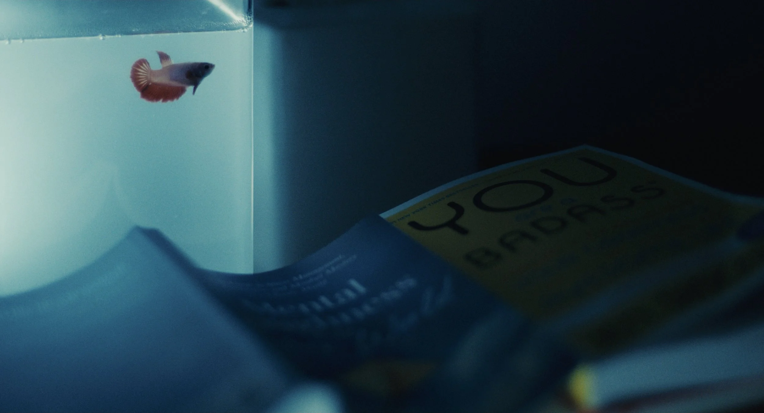 Screenshot 2026-04-27 at 10.45.49 AM.JPG