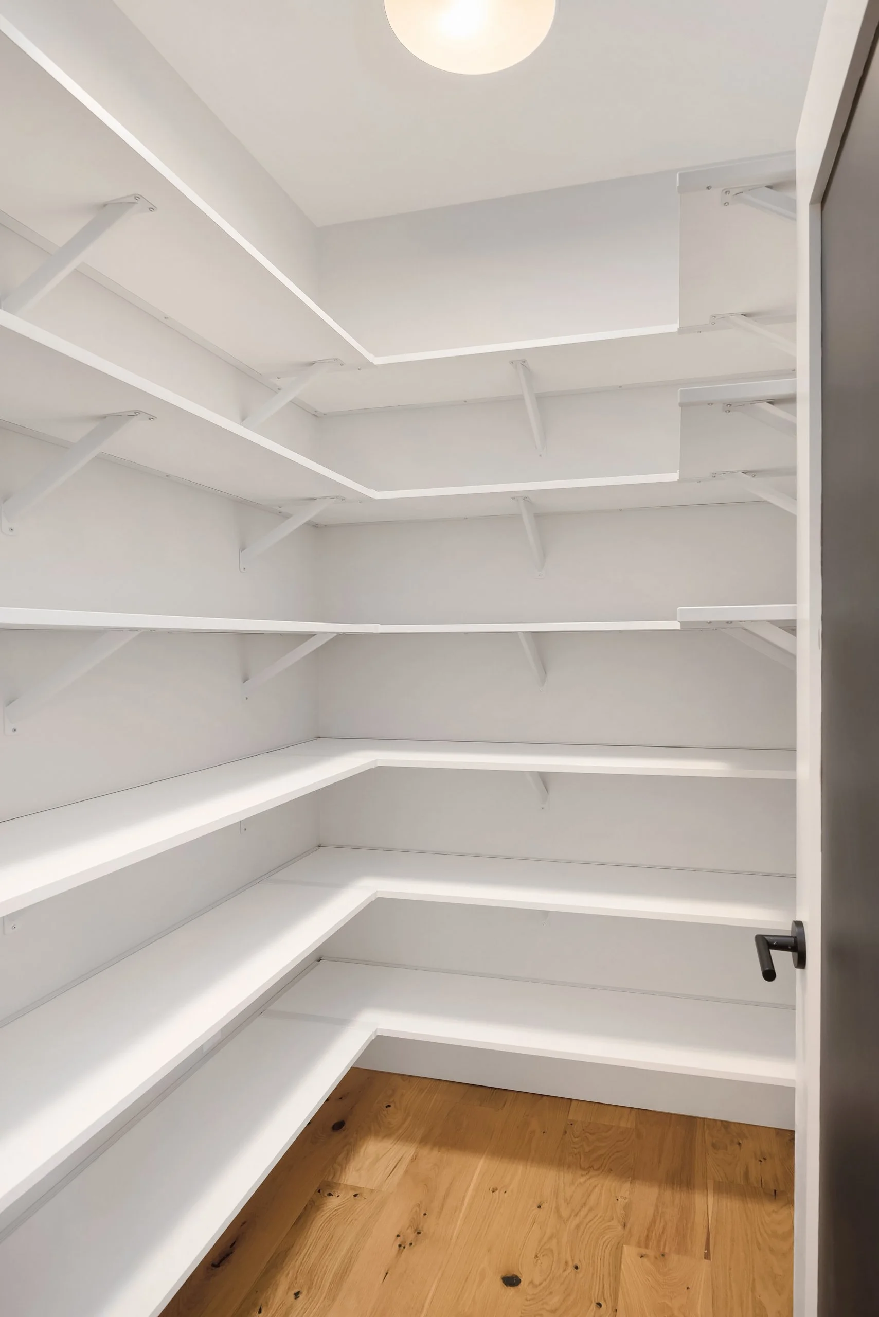 Empty white walk-in pantry with multiple shelves and a wooden floor.