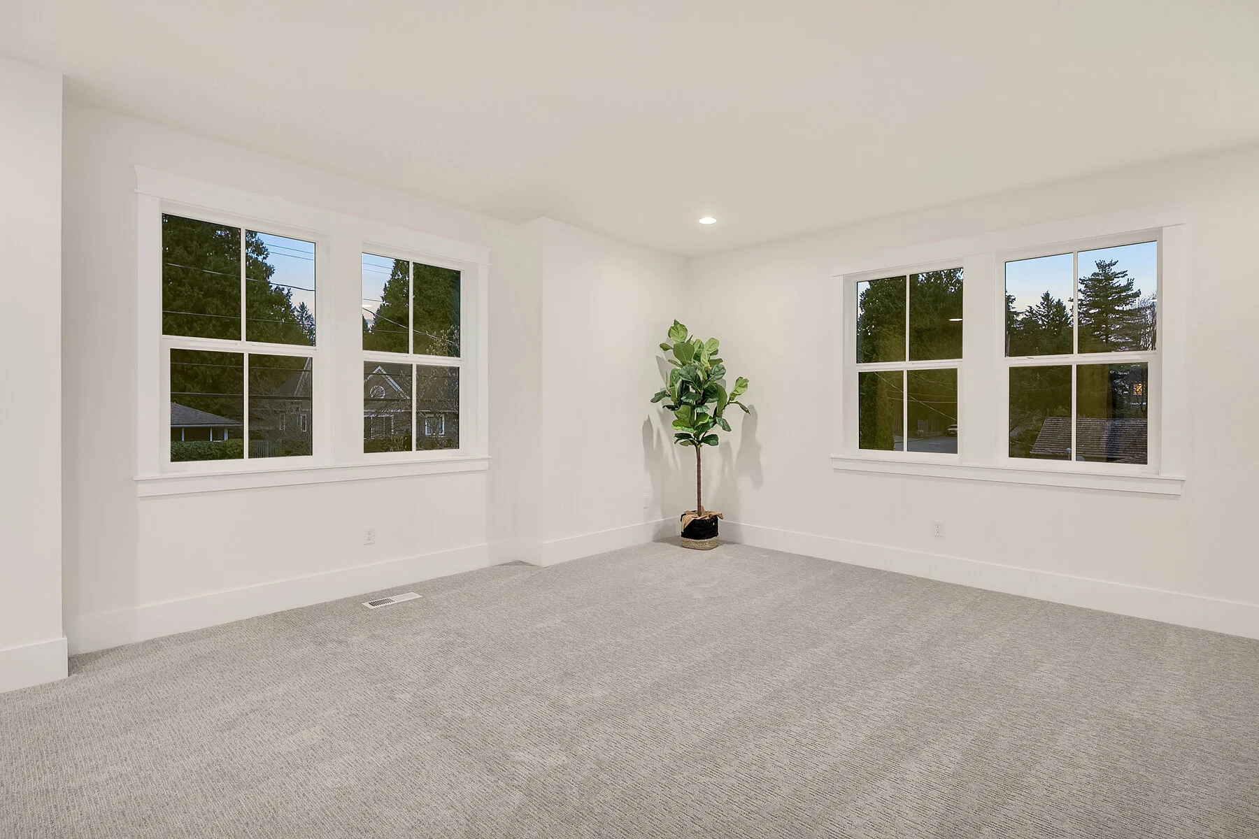 Empty room with white walls, two large windows, a potted plant in the corner, and beige carpeted floor.