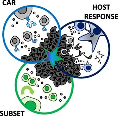 Rubinstein Lab  OSUCCC – James